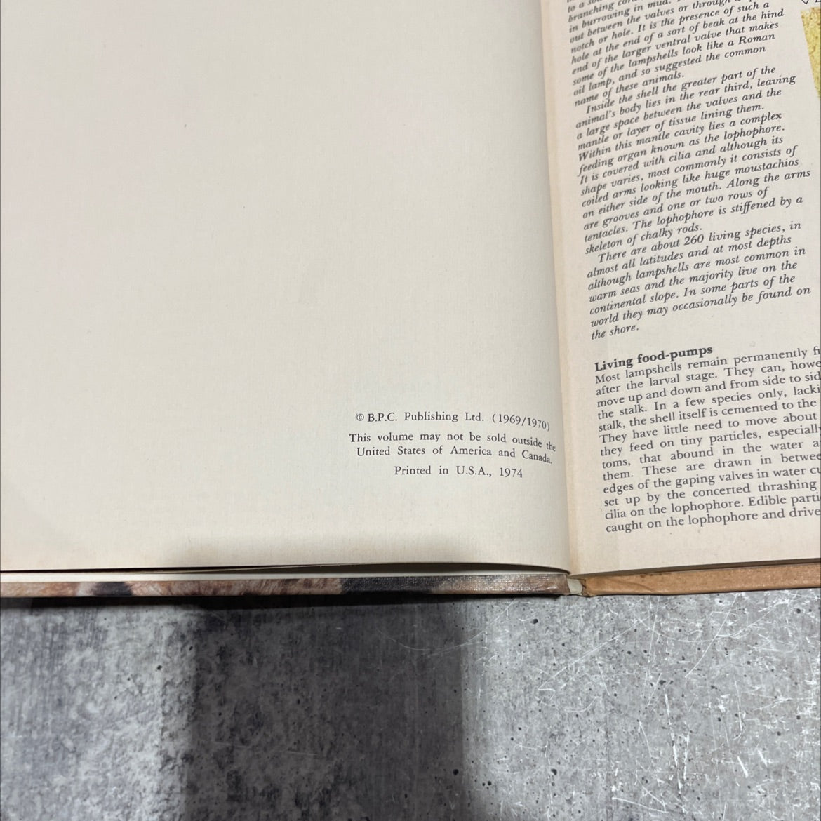 funk & wagnalls wildlife encyclopedia book, by Dr. Maurice Burton and Robert Burton, 1970 Hardcover image 3