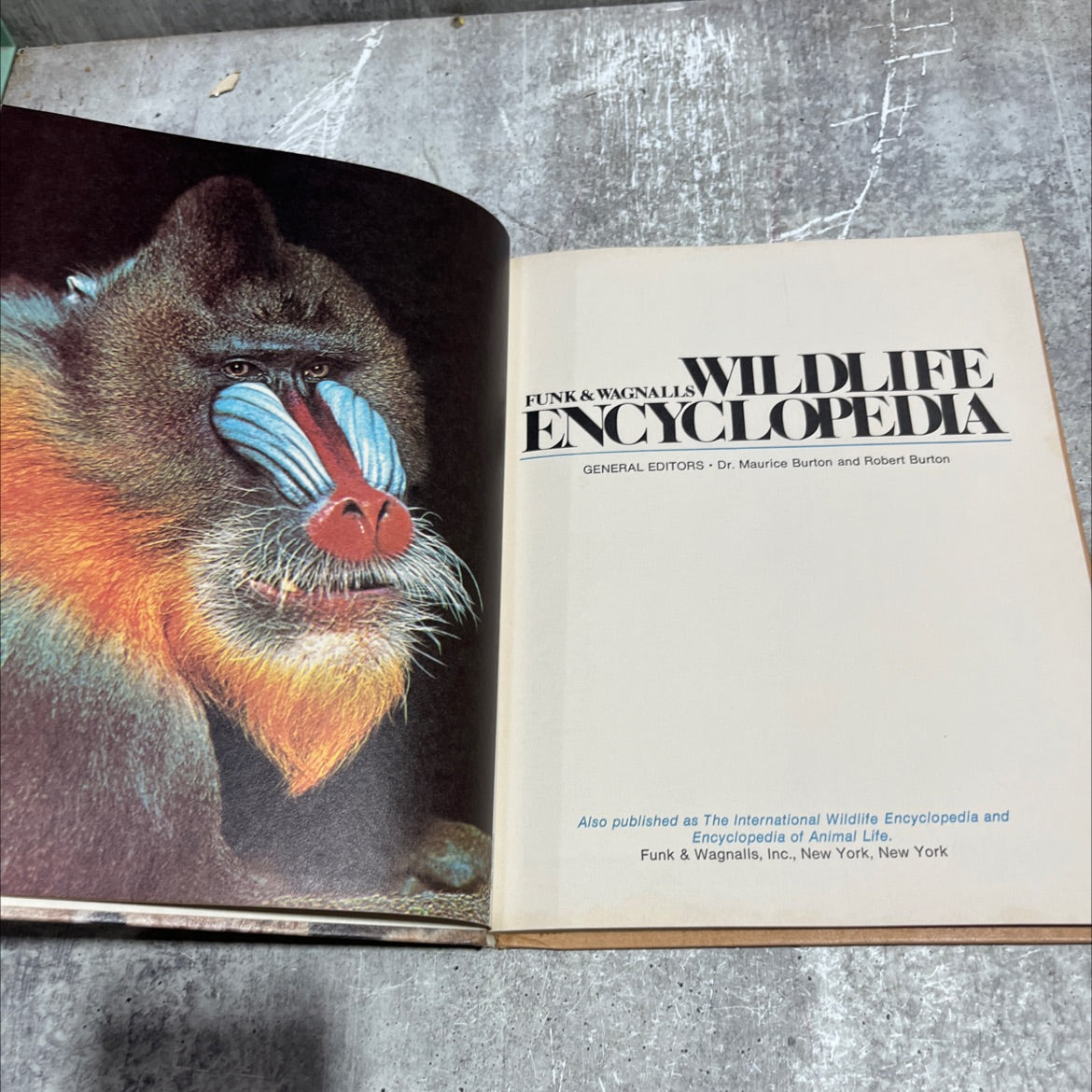 funk & wagnalls wildlife encyclopedia book, by Dr. Maurice Burton and Robert Burton, 1970 Hardcover image 2