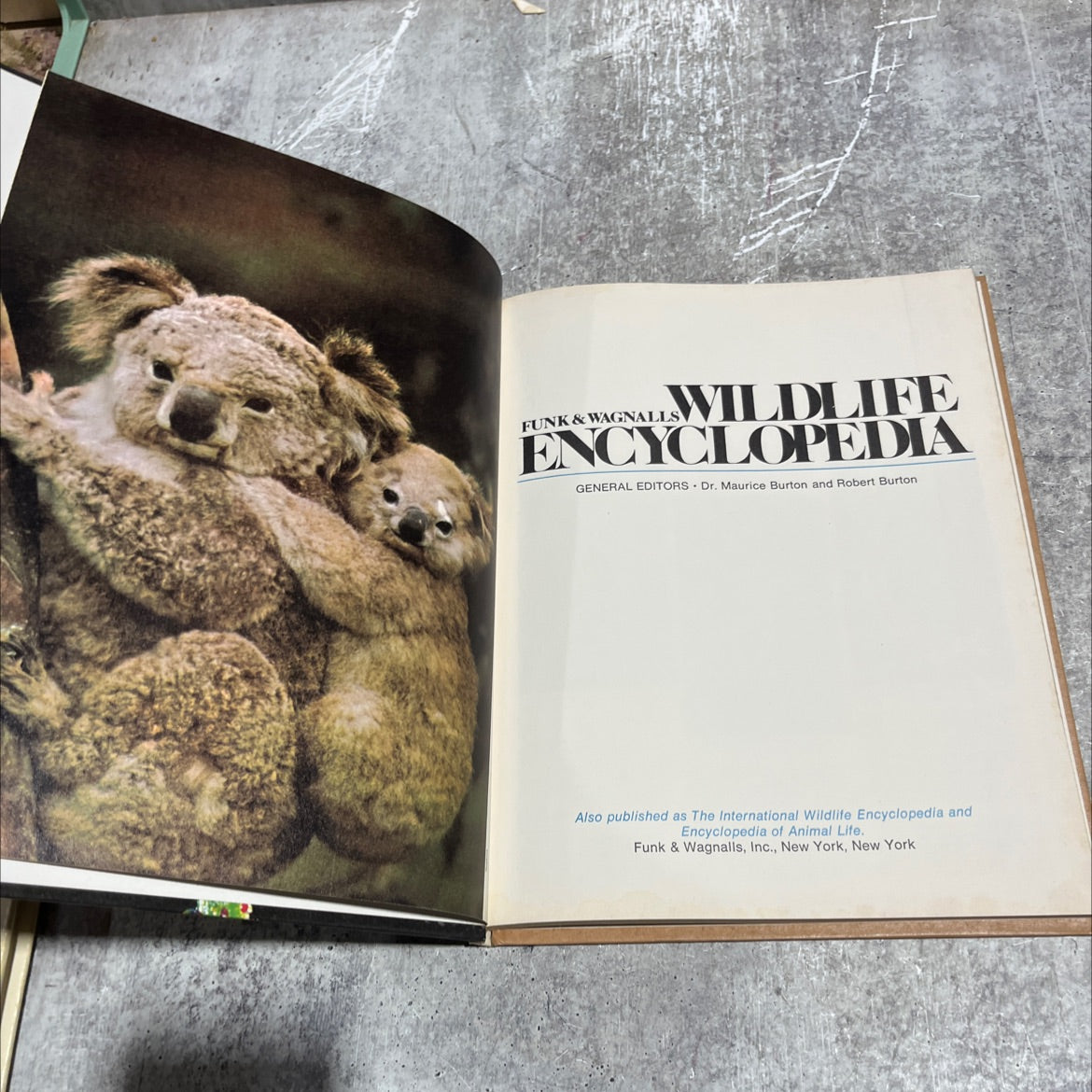 funk & wagnalls wildlife encyclopedia book, by dr. maurice burton, robert burton, 1974 Hardcover image 2