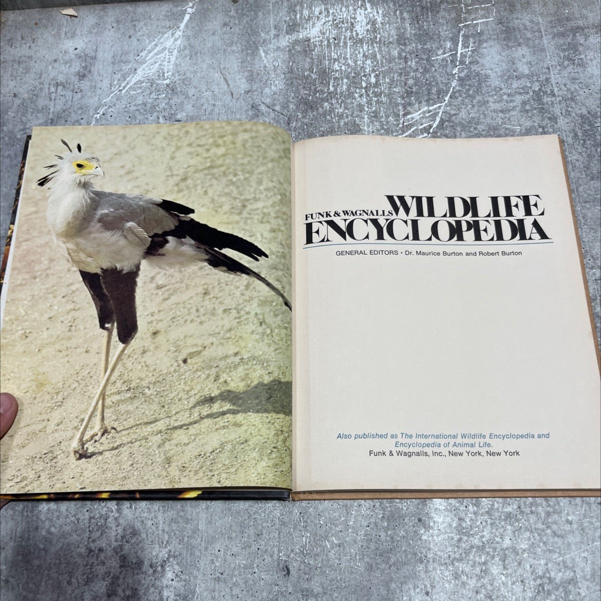 funk & wagnalls wildlife encyclopedia book, by dr. maurice burton and robert burton, 1974 Hardcover image 2