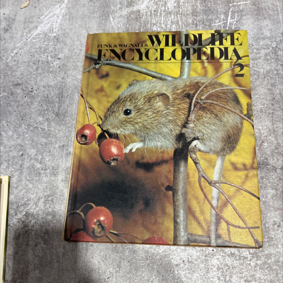 funk & wagnalls wildlife encyclopedia book, by Dr. Maurice Burton and Robert Burton, 1974 Hardcover image 1