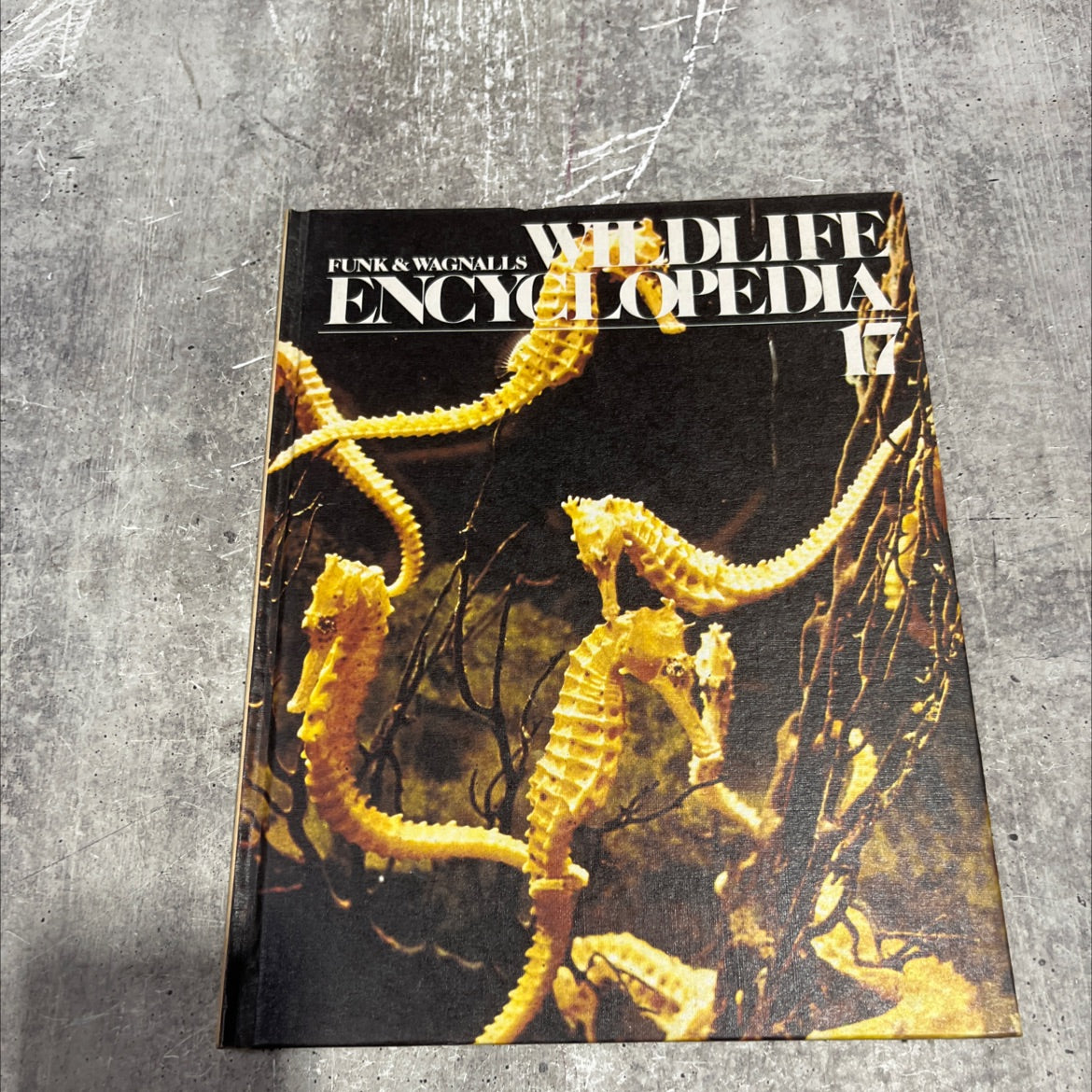 funk & wagnalls wildlife encyclopedia book, by dr. maurice burton and robert burton, 1974 Hardcover image 1