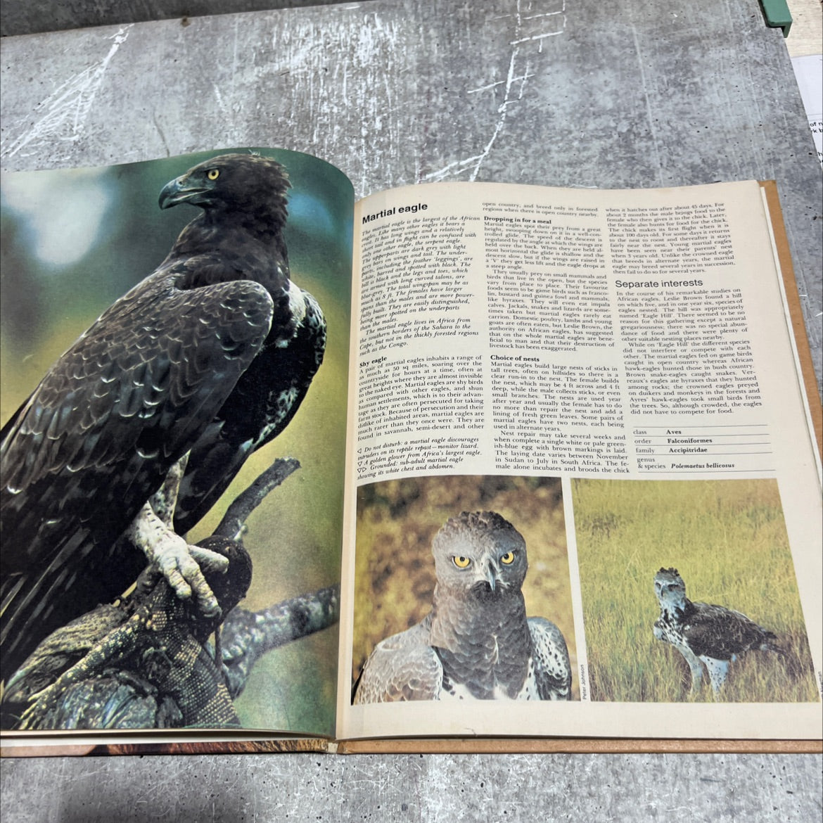 funk & wagnalls wildlife encyclopedia book, by Dr. Maurice Burton and Robert Burton, 1974 Hardcover image 4