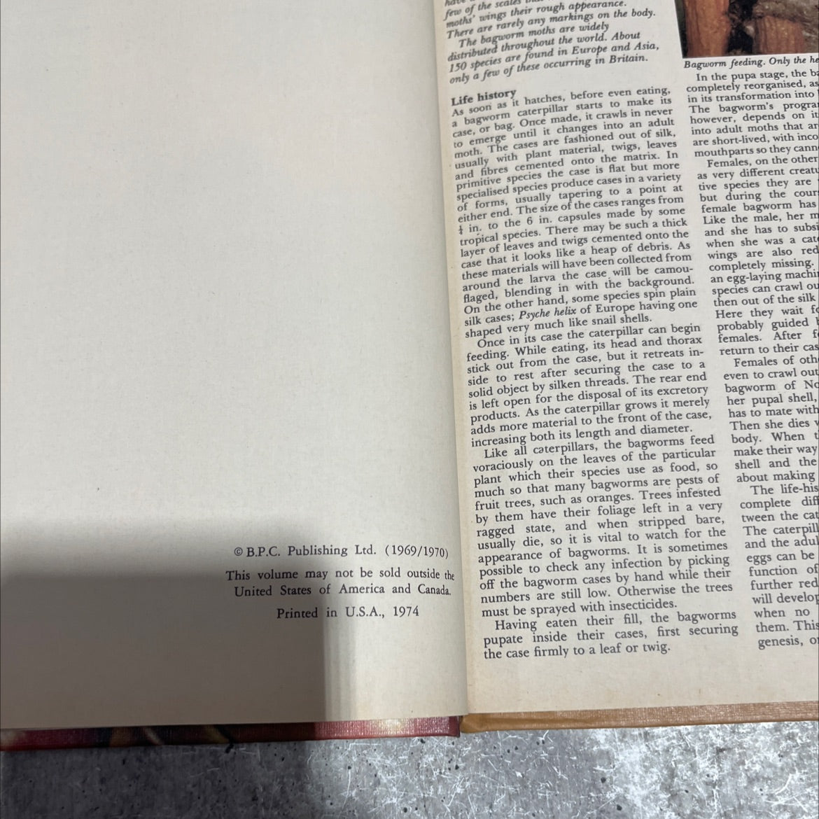 funk & wagnalls wildlife encyclopedia book, by Dr. Maurice Burton and Robert Burton, 1974 Hardcover image 3