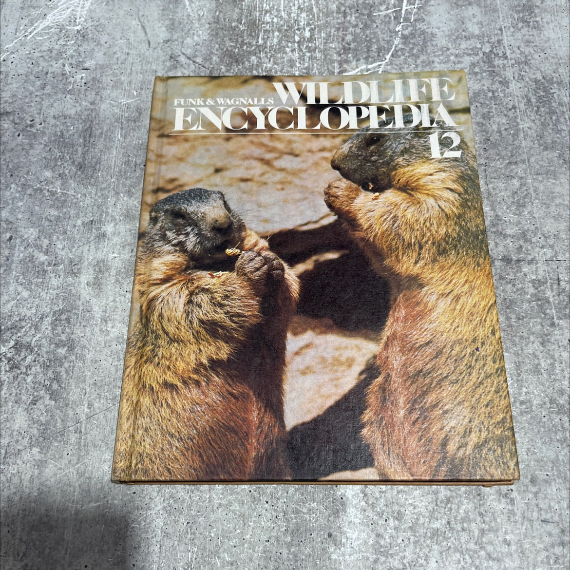 funk & wagnalls wildlife encyclopedia book, by Dr. Maurice Burton and Robert Burton, 1974 Hardcover image 1