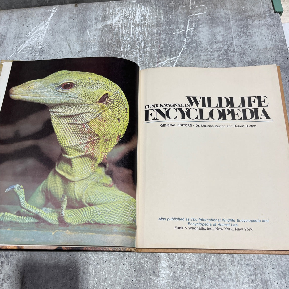 funk & wagnalls wildlife encyclopedia book, by Dr. Maurice Burton and Robert Burton, 1974 Hardcover image 2