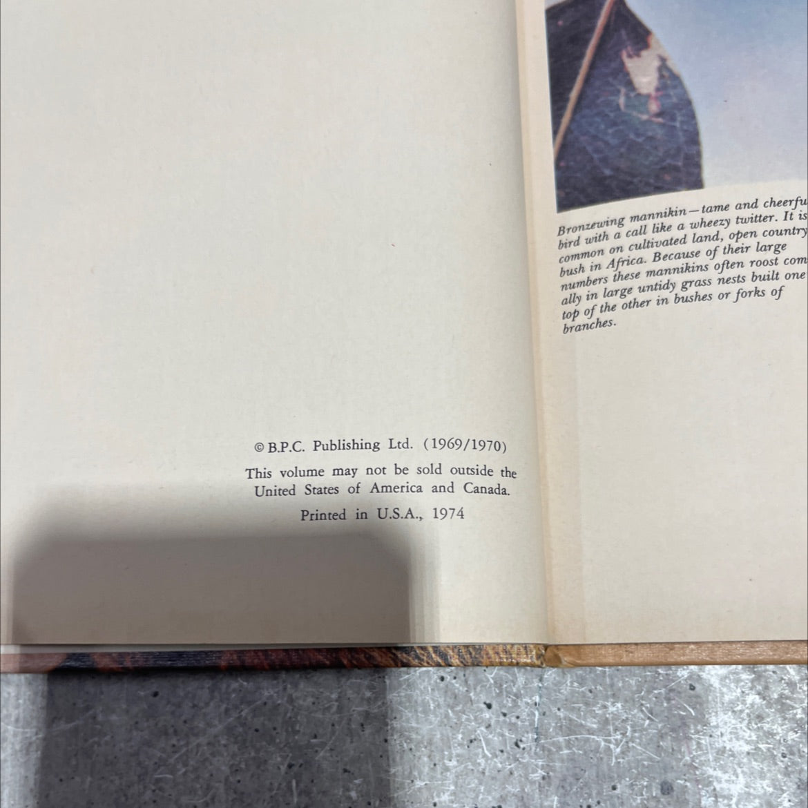 funk & wagnalls wildlife encyclopedia book, by Dr. Maurice Burton and Robert Burton, 1974 Hardcover image 3