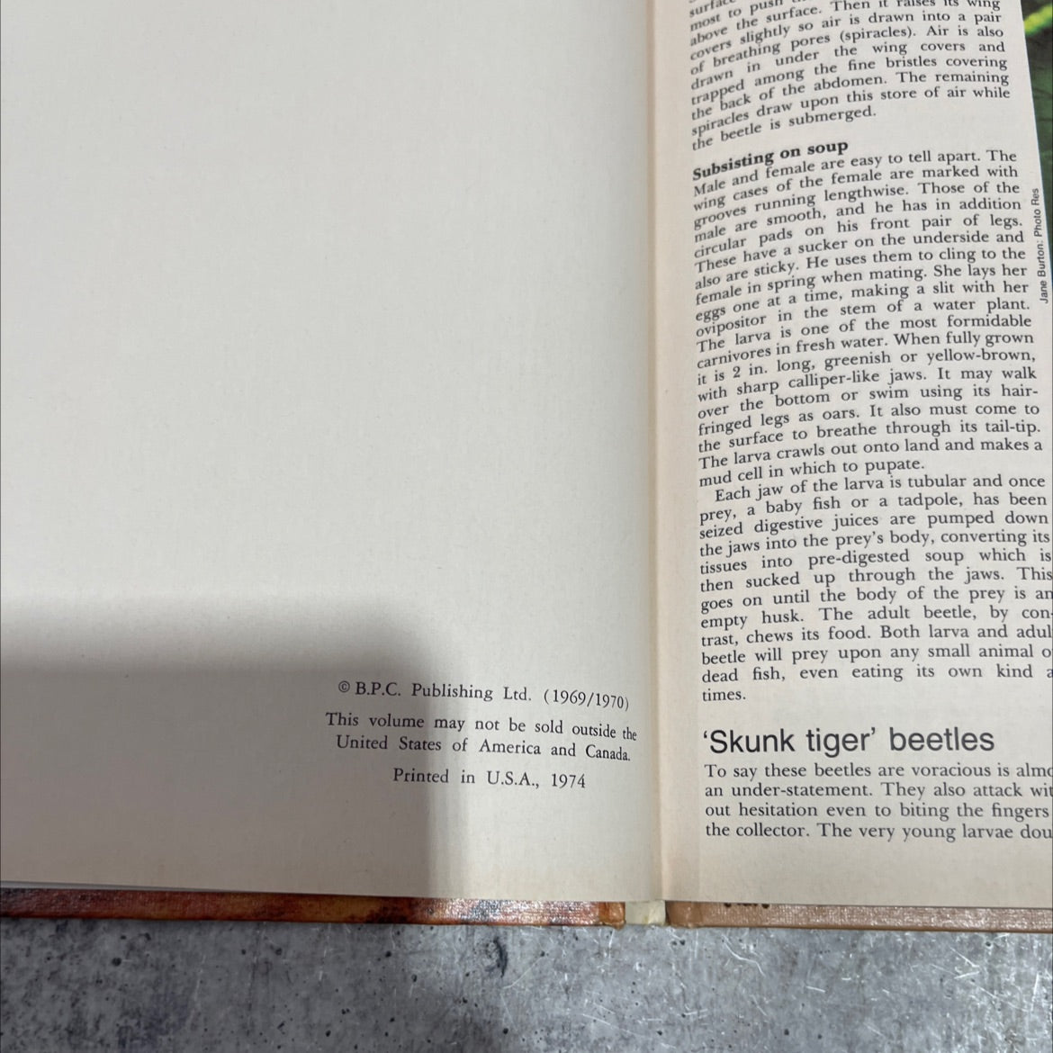 funk & wildlife wagnalls encyclopedia book, by dr. maurice burton and robert burton, 1974 Hardcover image 3