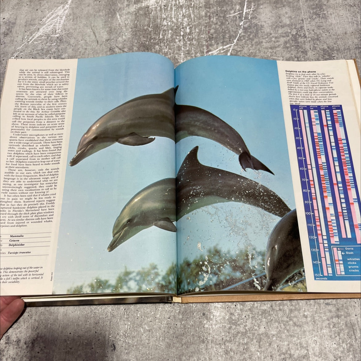 funk&wagnalls wildlife encyclopedia book, by Dr. Maurice Burton and Robert Burton, 1974 Hardcover image 4