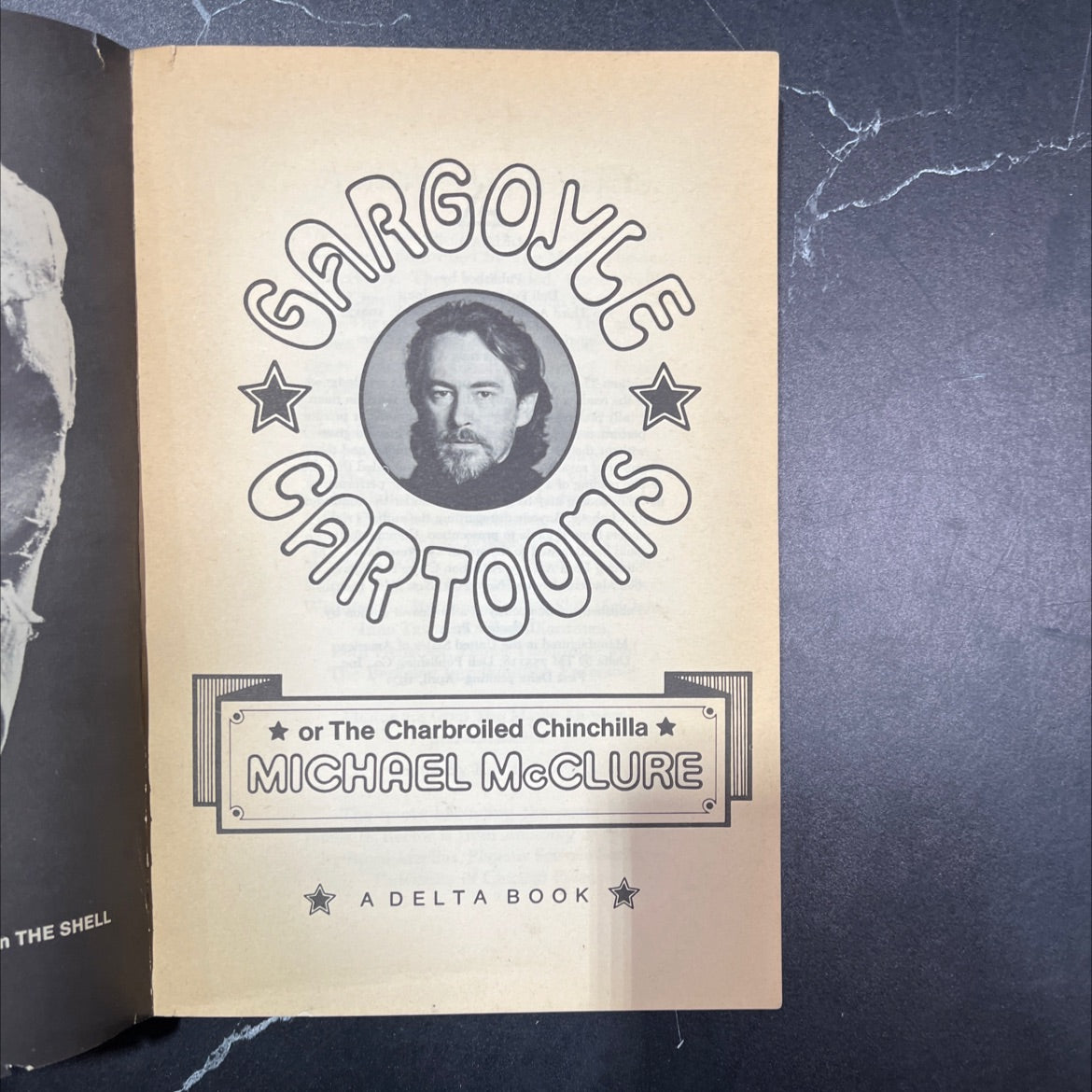 garbomer car le toons or the charbroiled chinchilla book, by michael mcclure, 1971 Paperback image 2