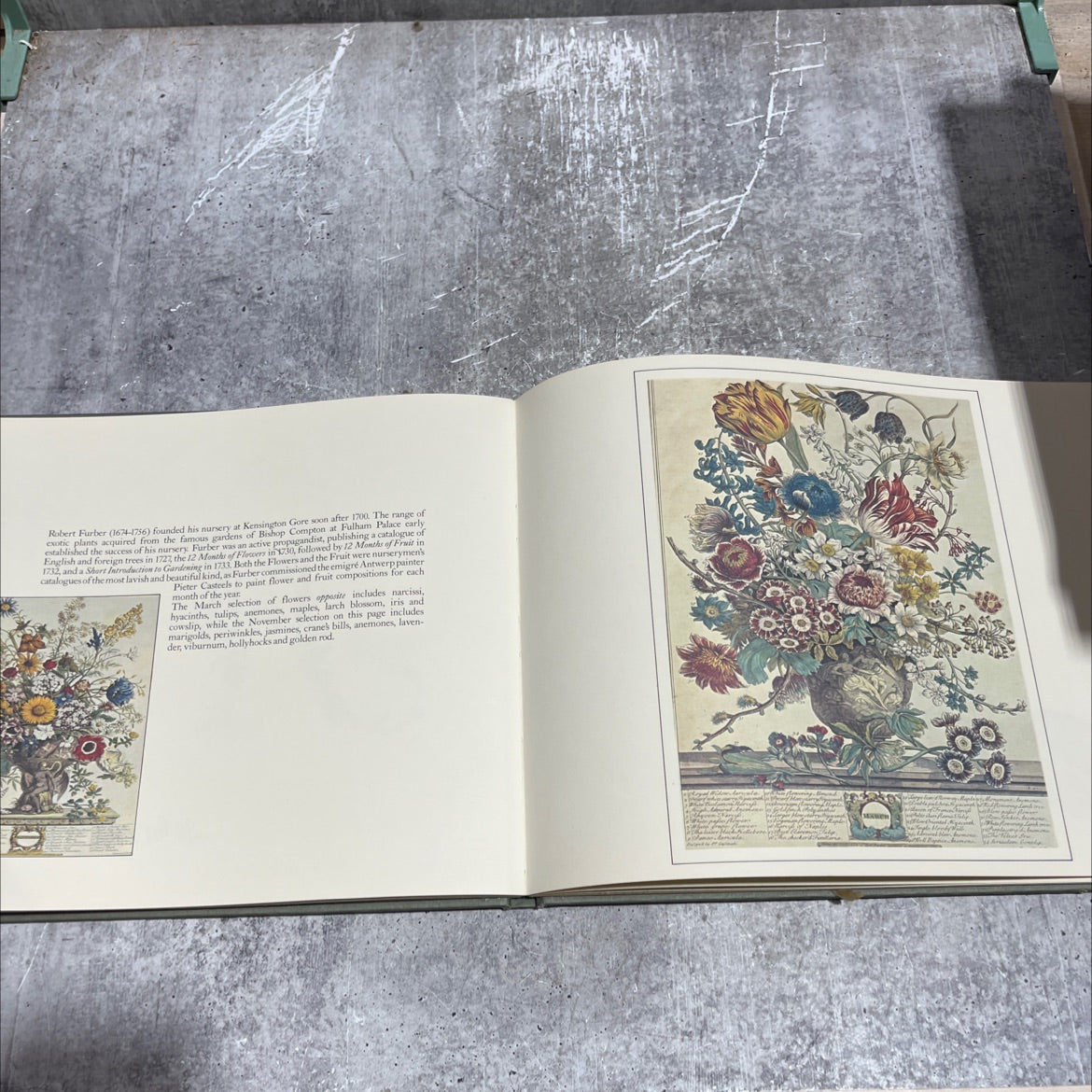 garden alphabet book, by John Harris, 1979 Hardcover image 4