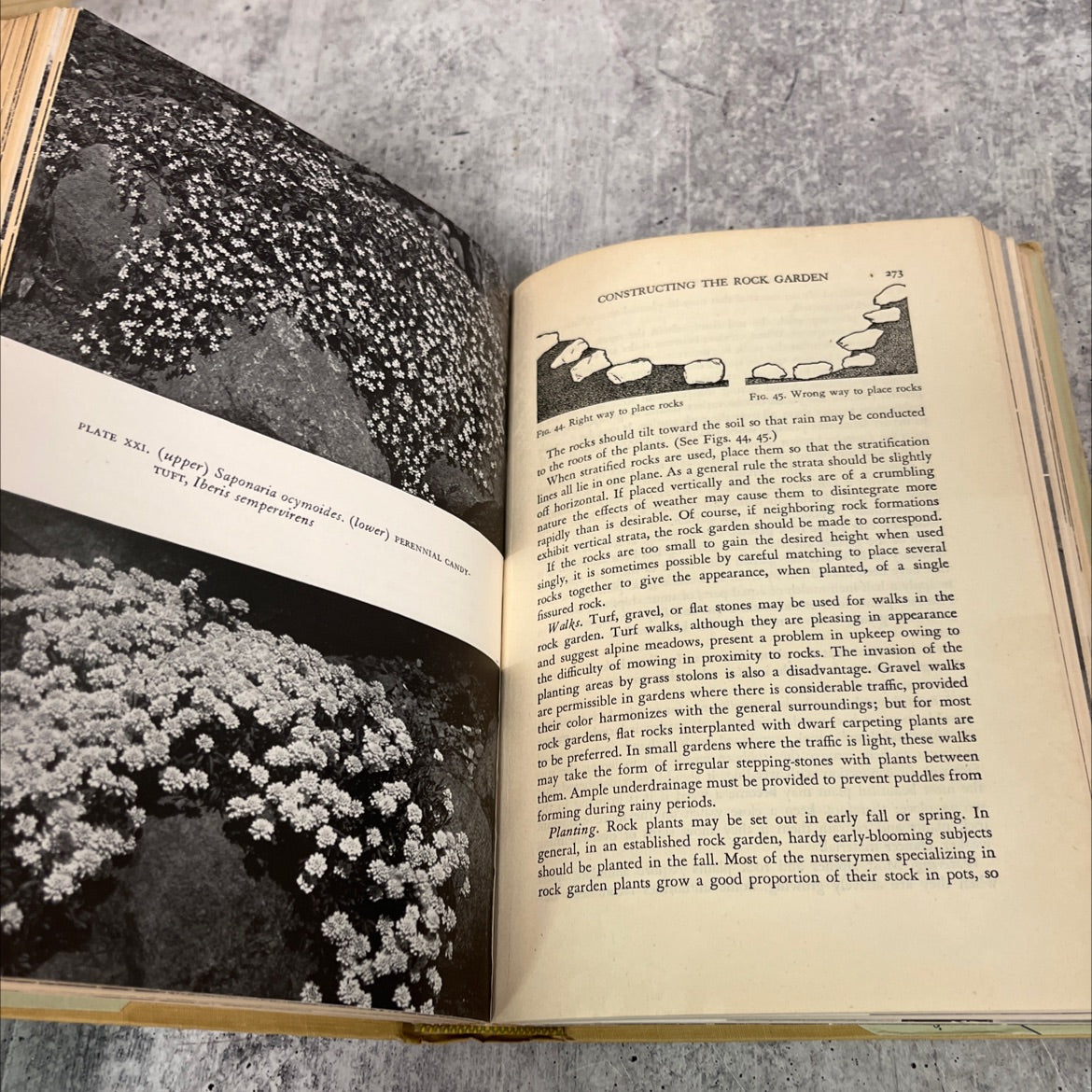 gardening a complete guide to garden making including flowers and lawns, trees and shrubs, fruits and vegetables, image 4