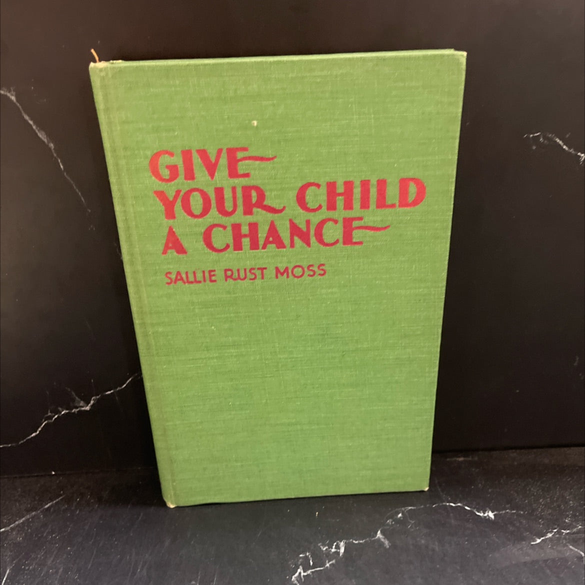 give your child a chance book, by sallie rust moss, 1988 Hardcover image 1