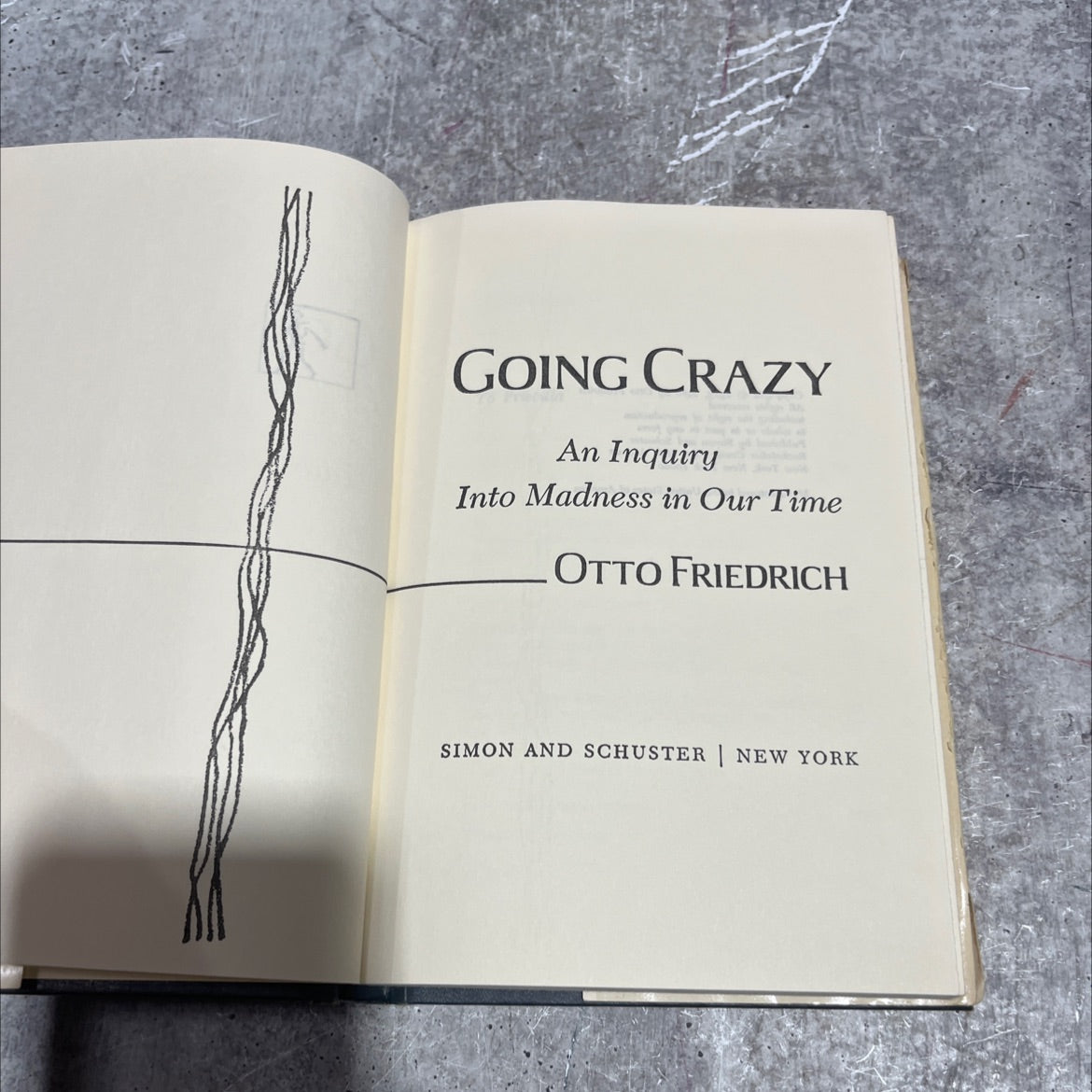 going crazy an inquiry into madness in our time book, by otto friedrich, 1976 Hardcover image 2