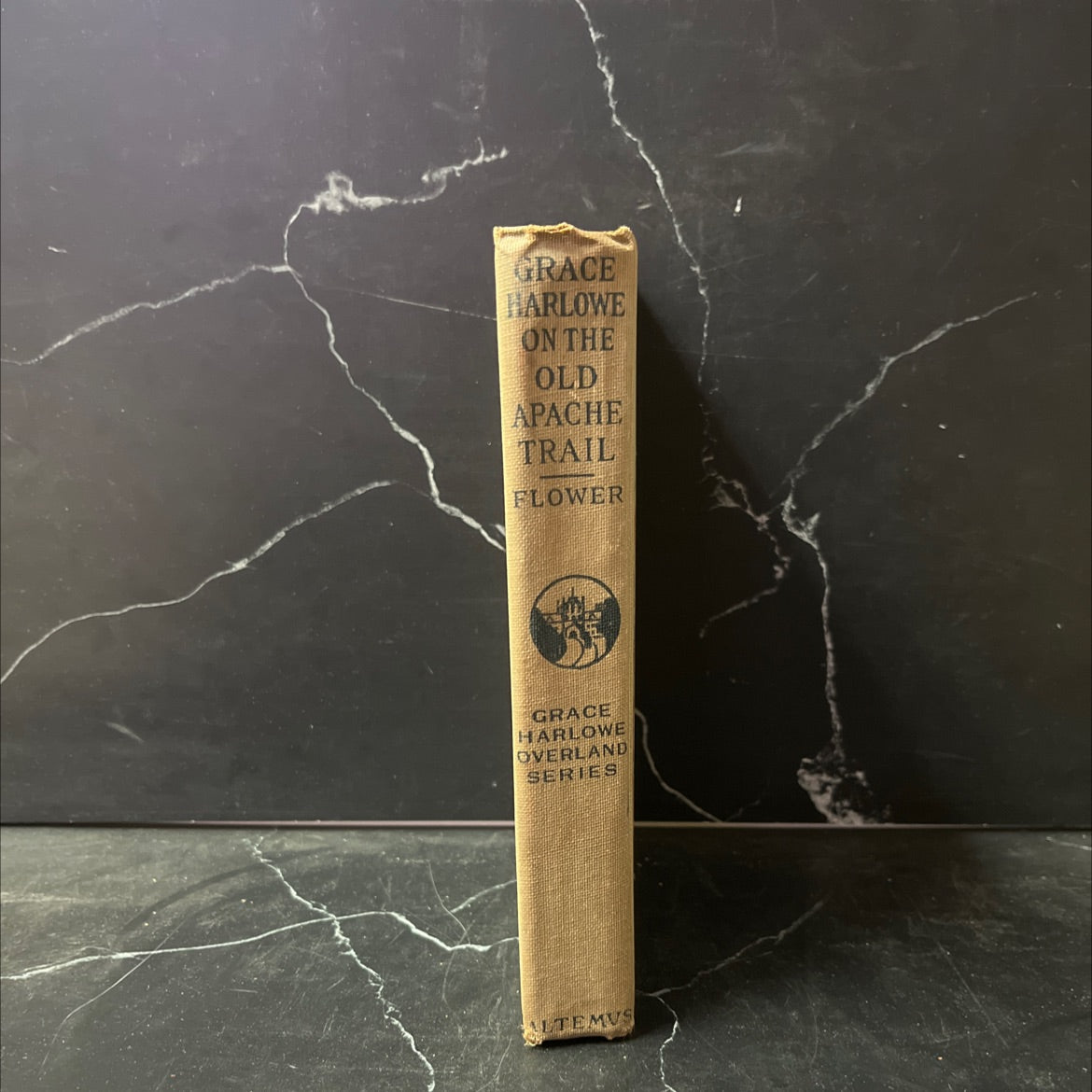 grace harlowe's overland riders on the old apache trail book, by jessie graham flower, 1921 Hardcover image 4