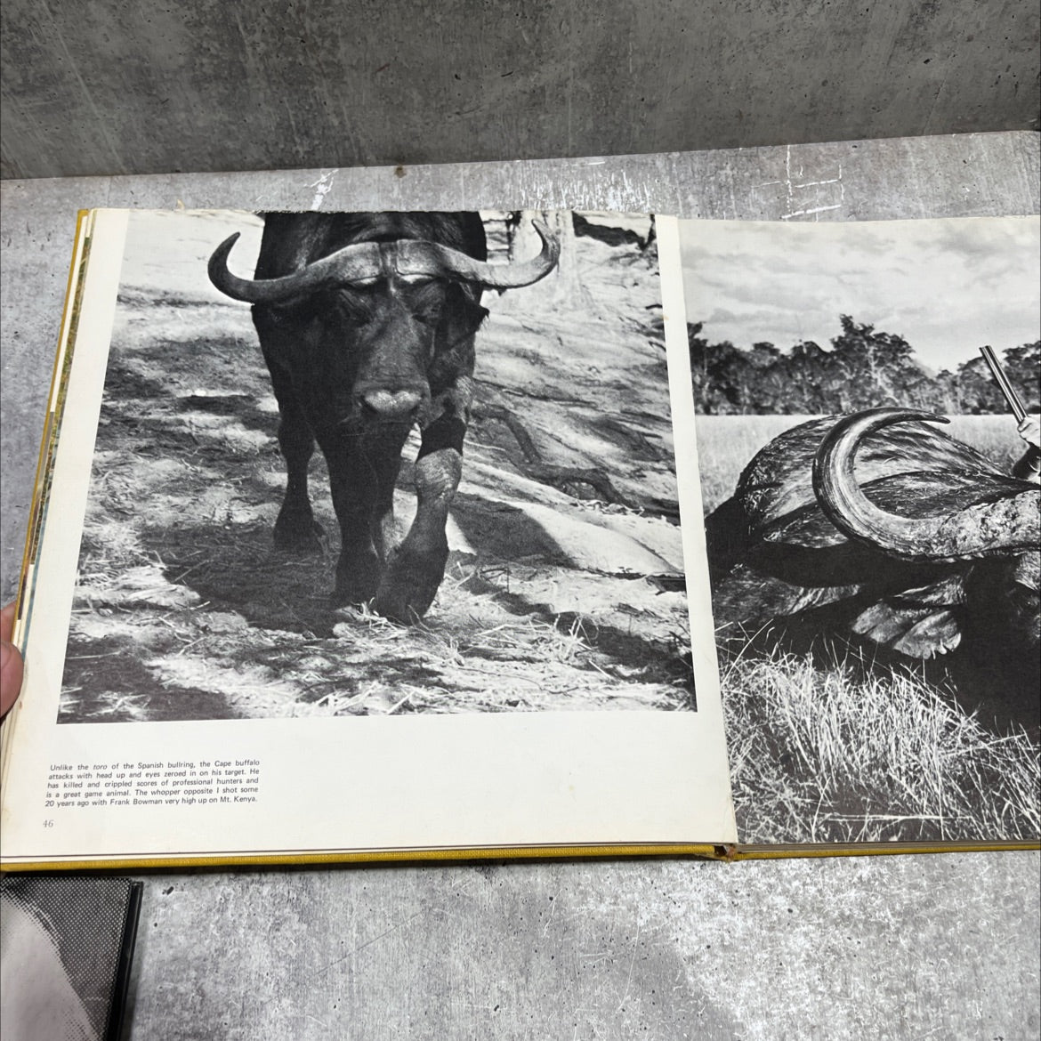 great game animals of the world book, by russell barnett aitken, 1974 Hardcover image 4