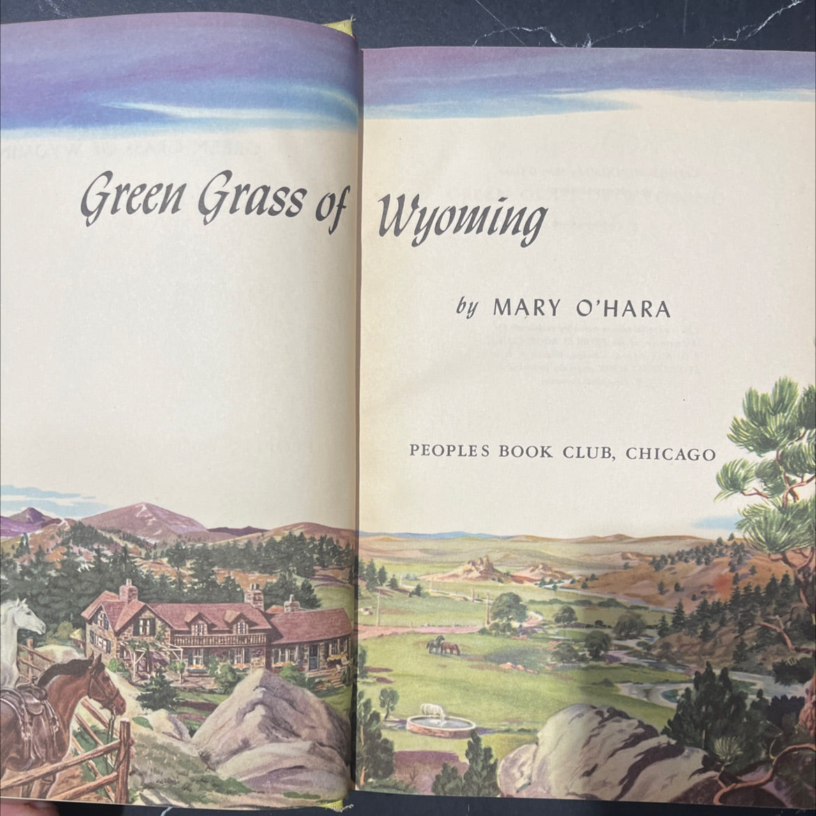 green grass of wyoming book, by mary o'hara, 1946 Hardcover image 2