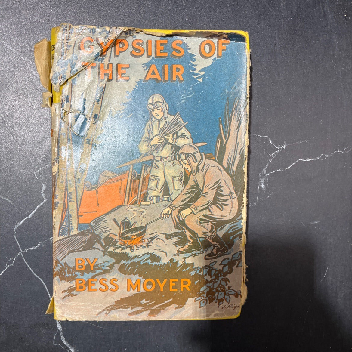 gypsies of the air book, by bess moyer, 1932 Hardcover image 1