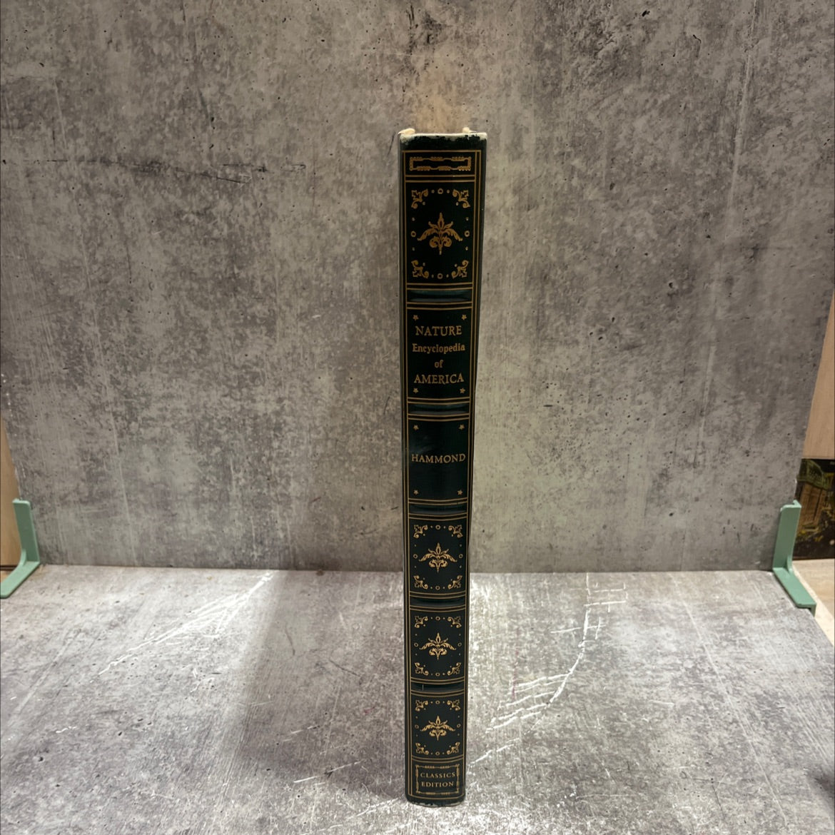 hammond's nature atlas of america book, by e. l. jordan, ph.d., 1952 Hardcover image 4