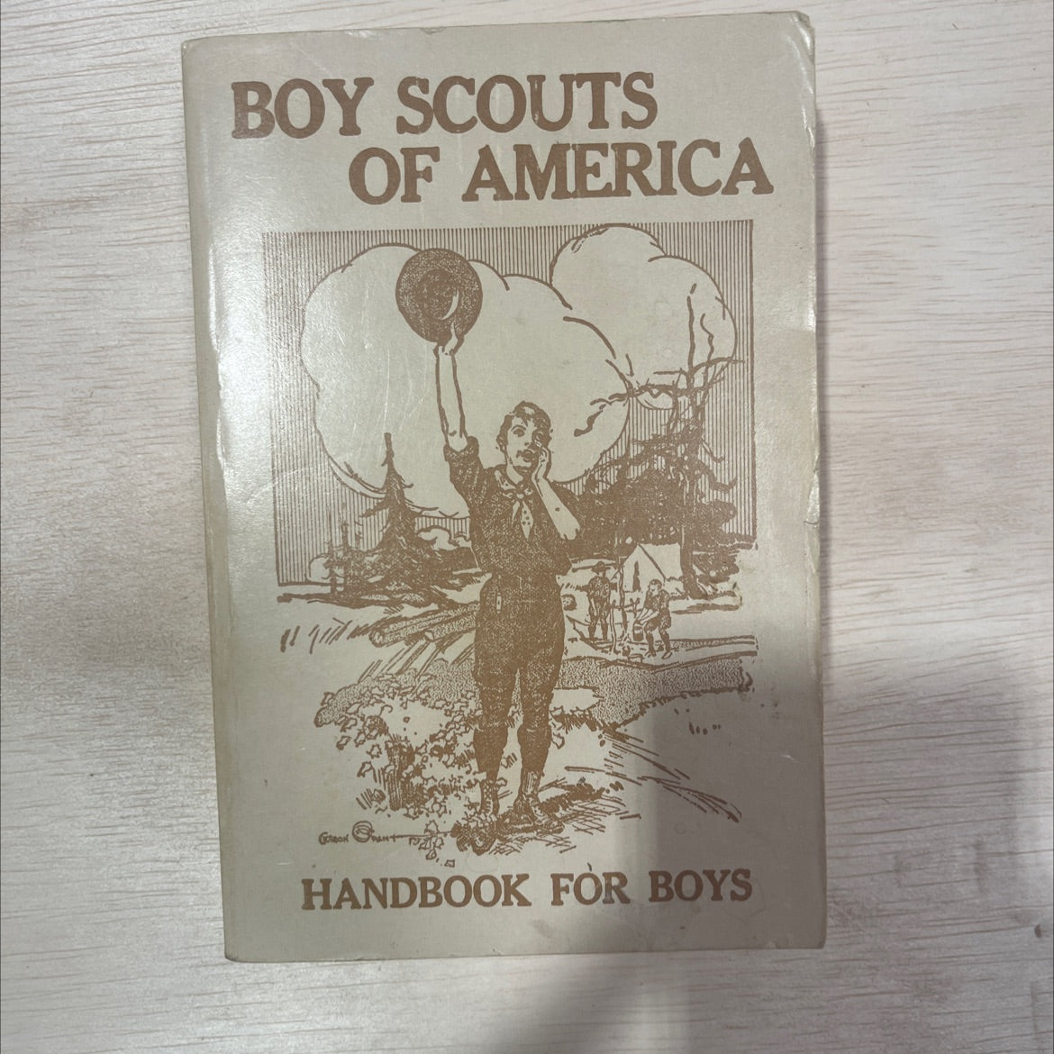handbook for boys book, by N.J. Ank, 1990 Paperback image 1
