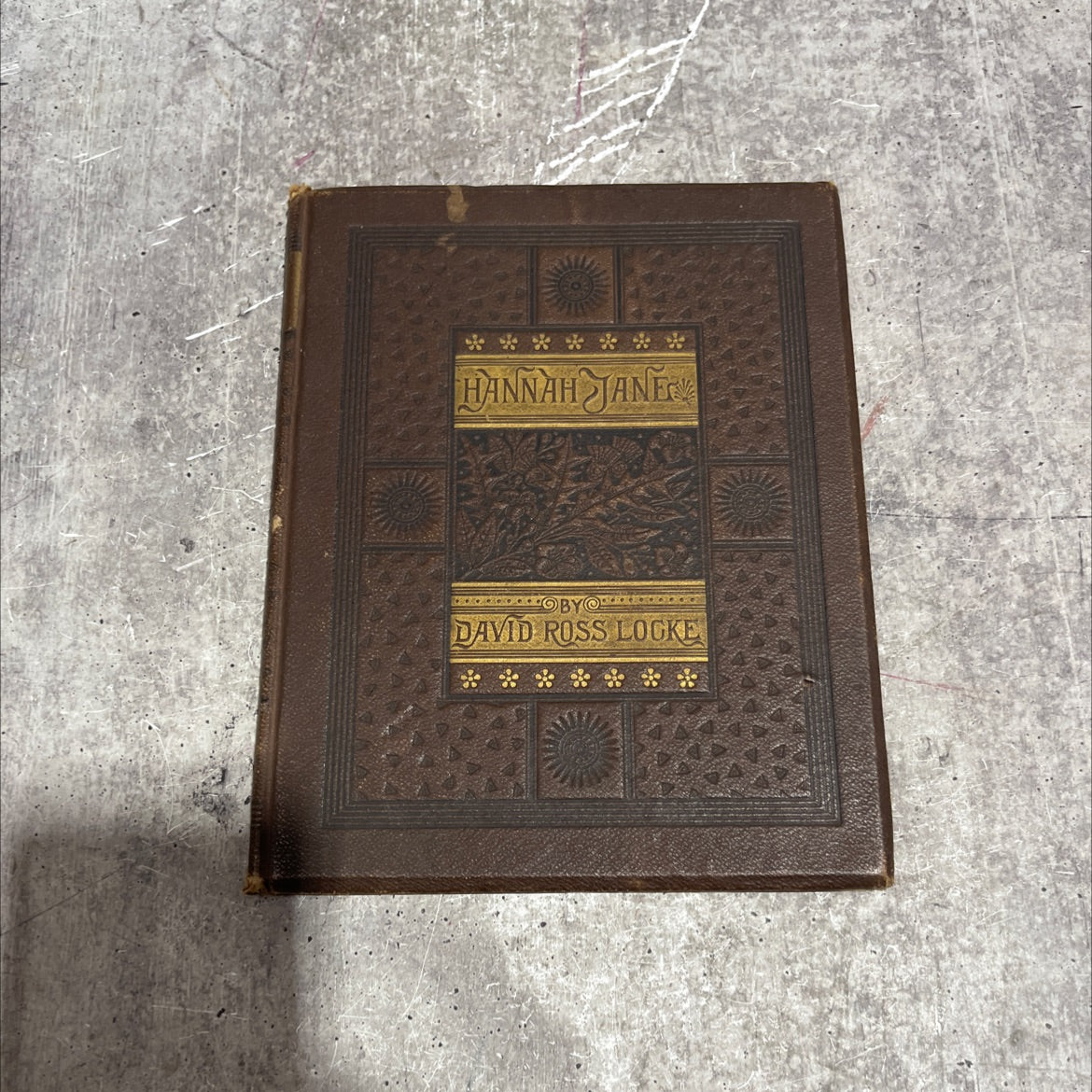 hannah jane book, by david ross locke, 1882 Hardcover image 1