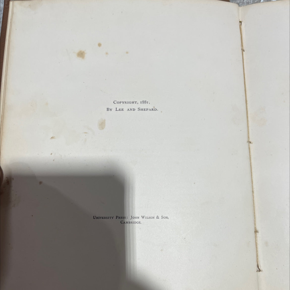 hannah jane book, by david ross locke, 1882 Hardcover image 3