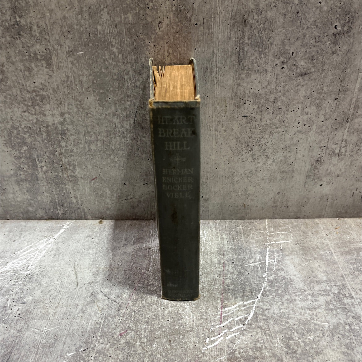 heartbreak hill a comedy romance book, by herman knickerbocker vielé, 1908 Hardcover image 4