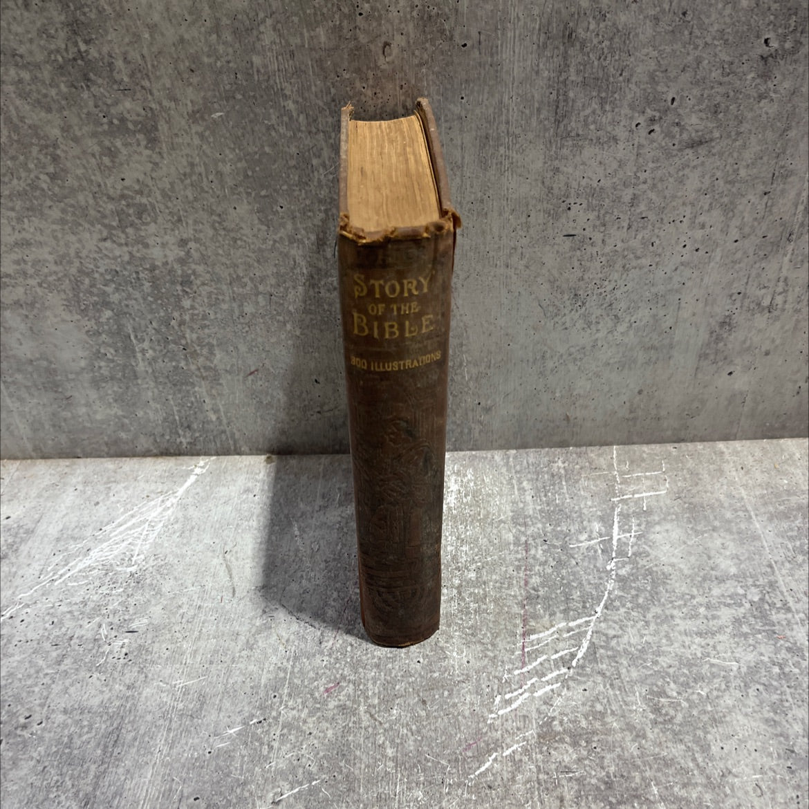 holy bible: daniel in the lions' den book, by charles foster, unknown Hardcover image 3