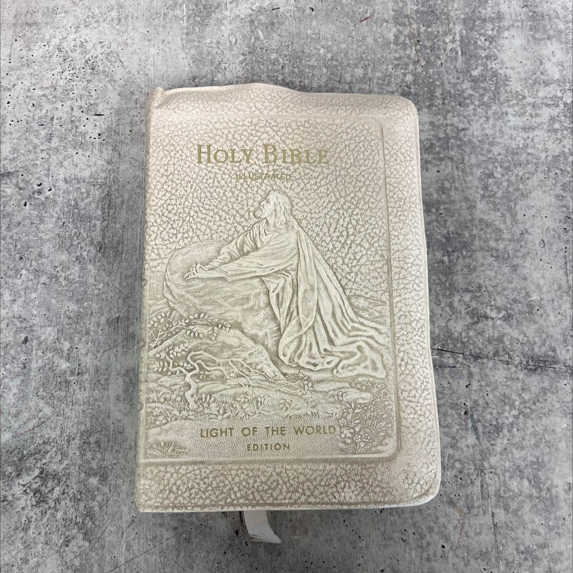 holy bible authorized king james version book, by unknown, 1966 Leather image 1