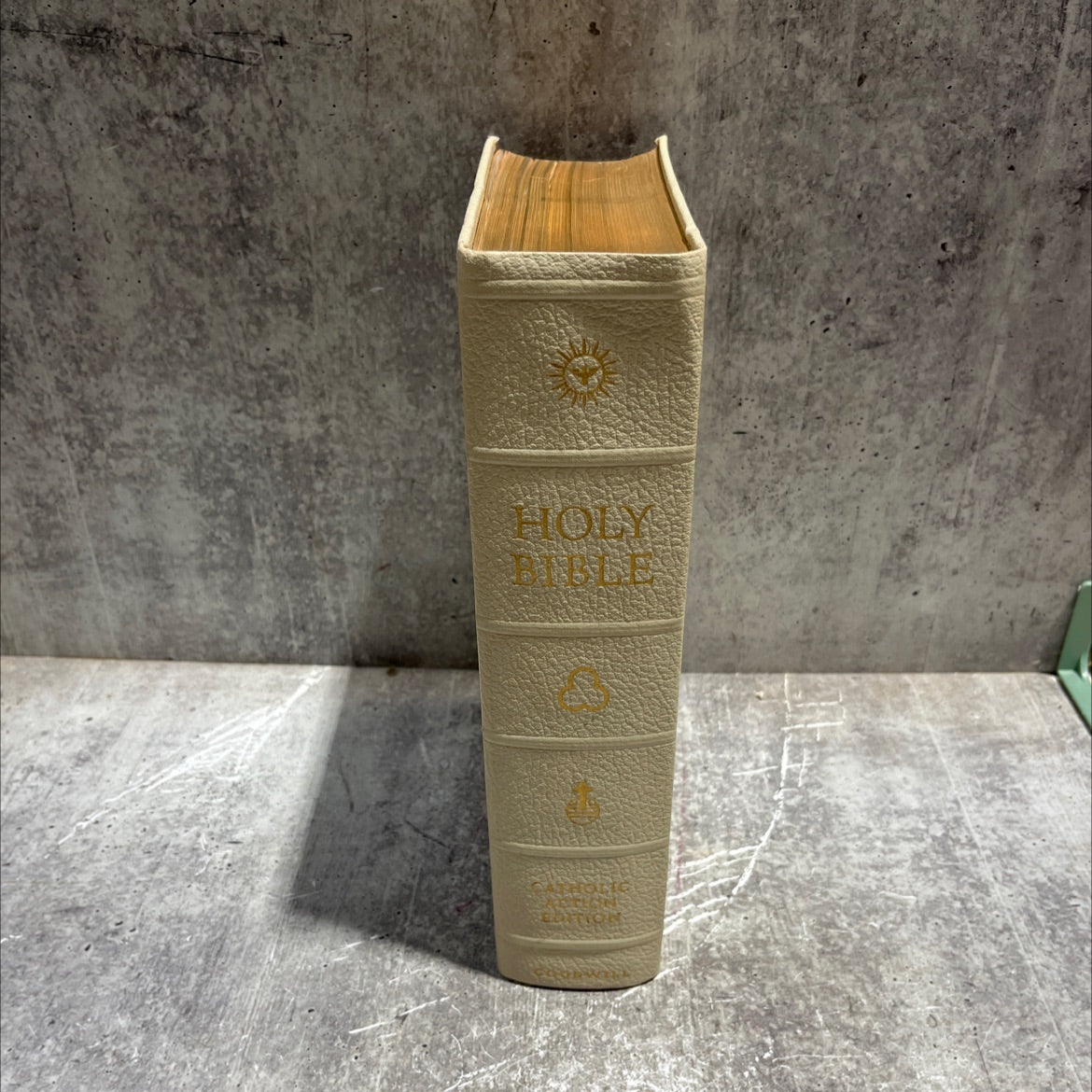 holy bible catholic action edition confraternity text book, by reverend paul john bradley, o.b.l.s.b., m.a.(oxon.), image 4