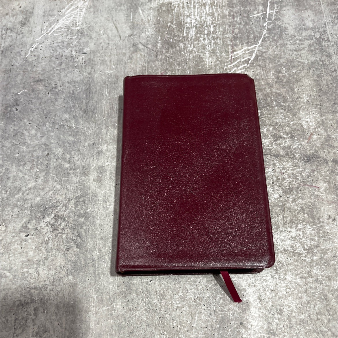 holy bible containing the old and new testaments authorized king james version book, by rev. c. i. scofield, d. d., image 1