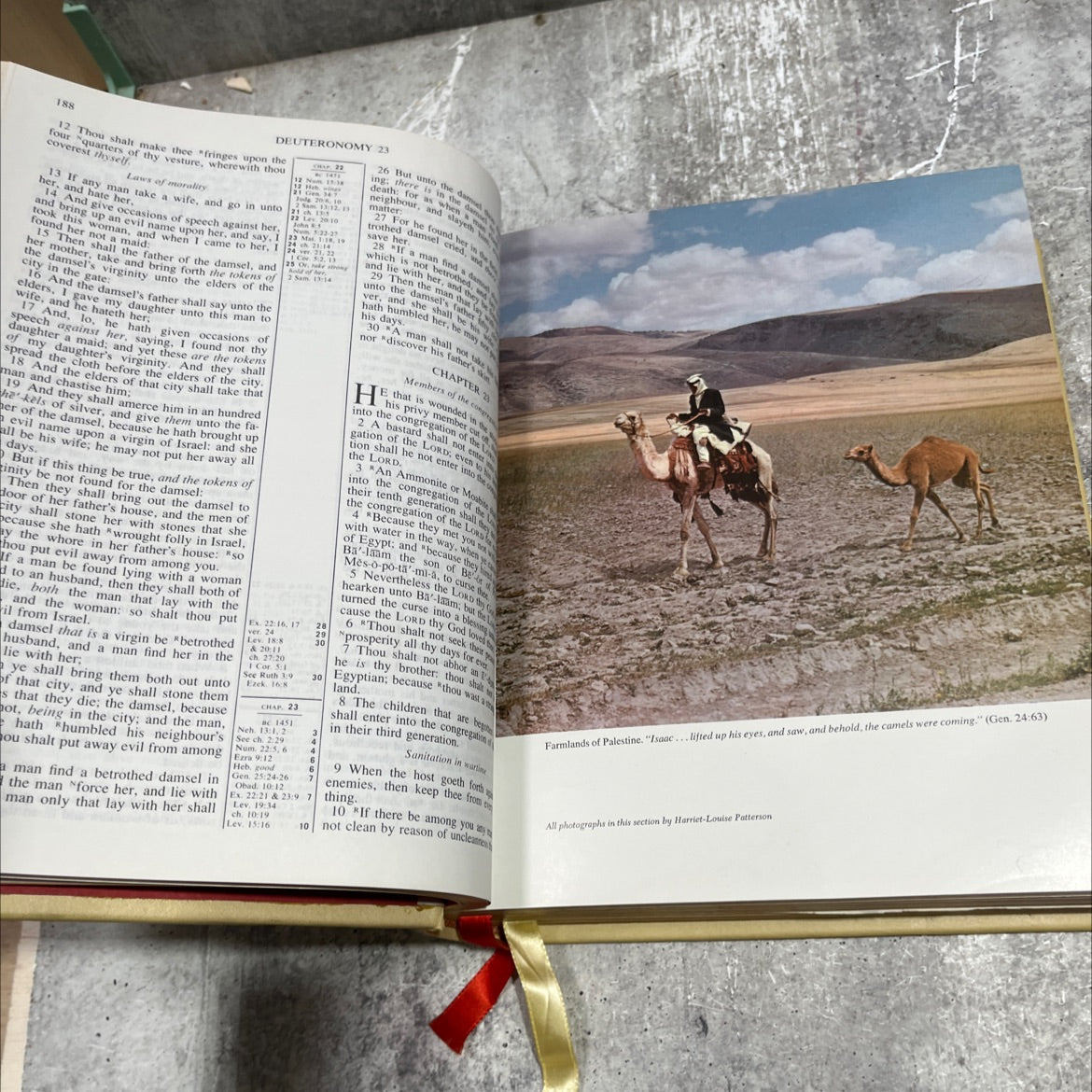 holy bible containing the old and new testaments in the authorized king james version the family heritage edition book, image 3