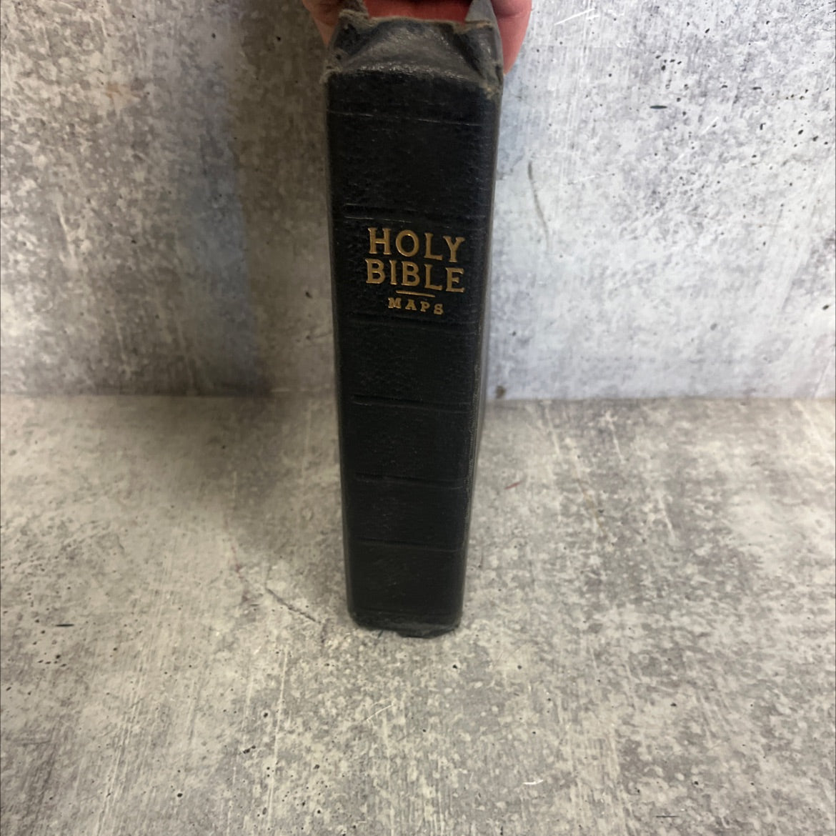 holy bible containing the old and new testaments translated out of the original tongues and with the former image 1