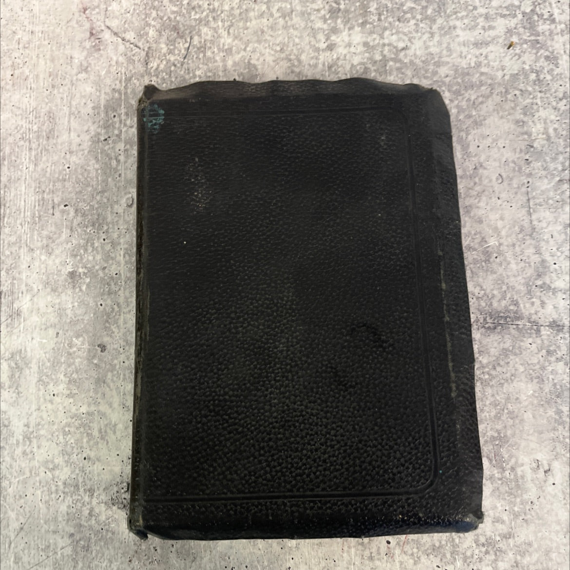 holy bible containing the old and new testaments translated out of the original tongues and with the former image 4
