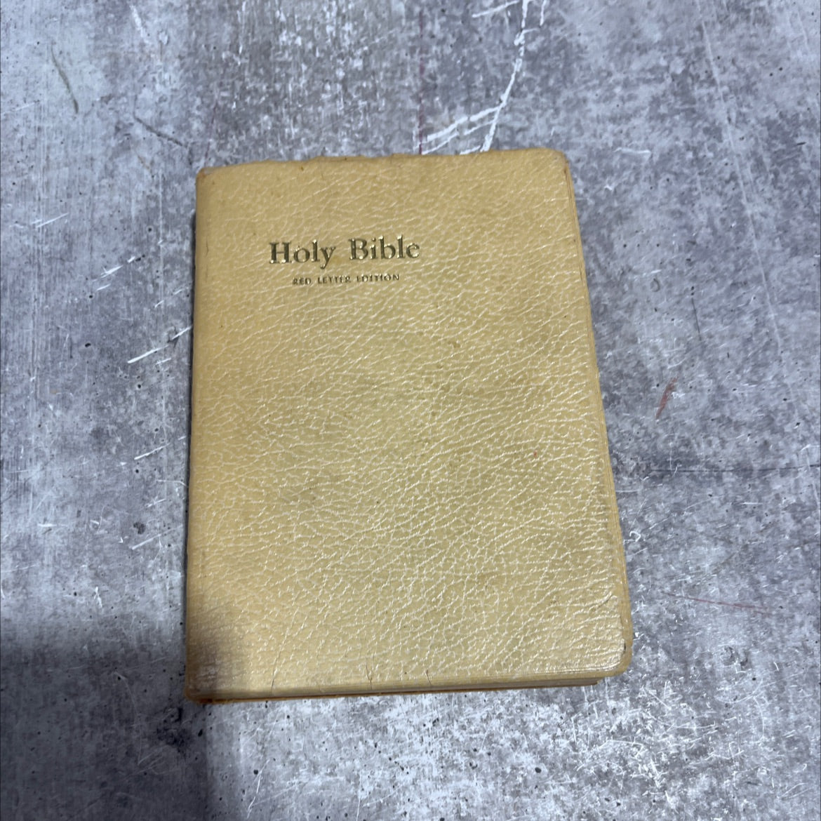 holy bible containing the old and new testaments translated out of the original tongues and with the former image 1