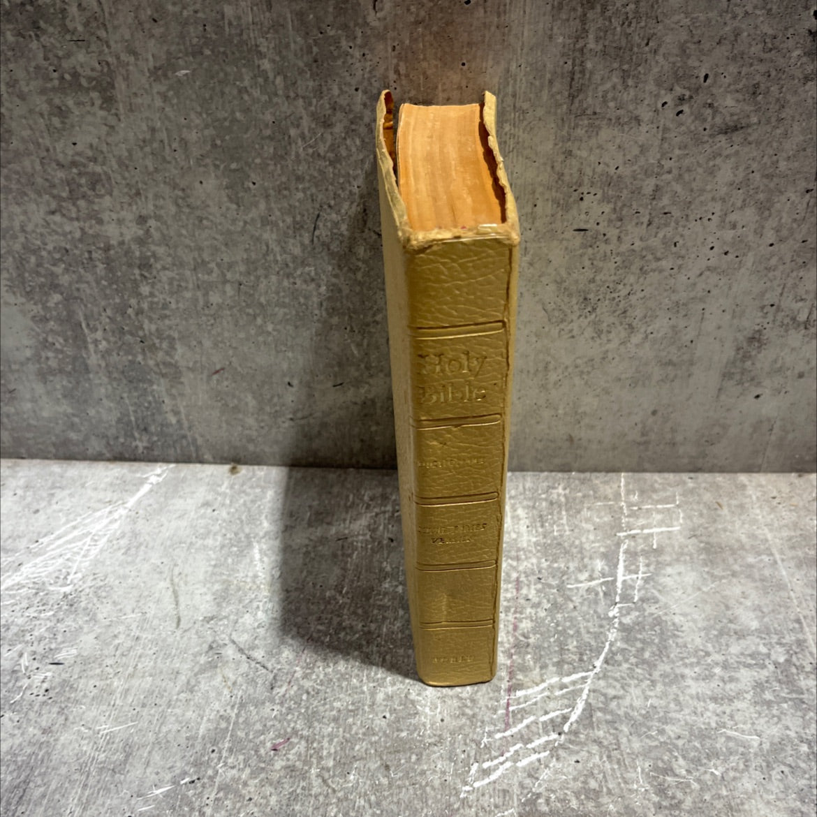 holy bible containing the old and new testaments translated out of the original tongues and with the former image 4