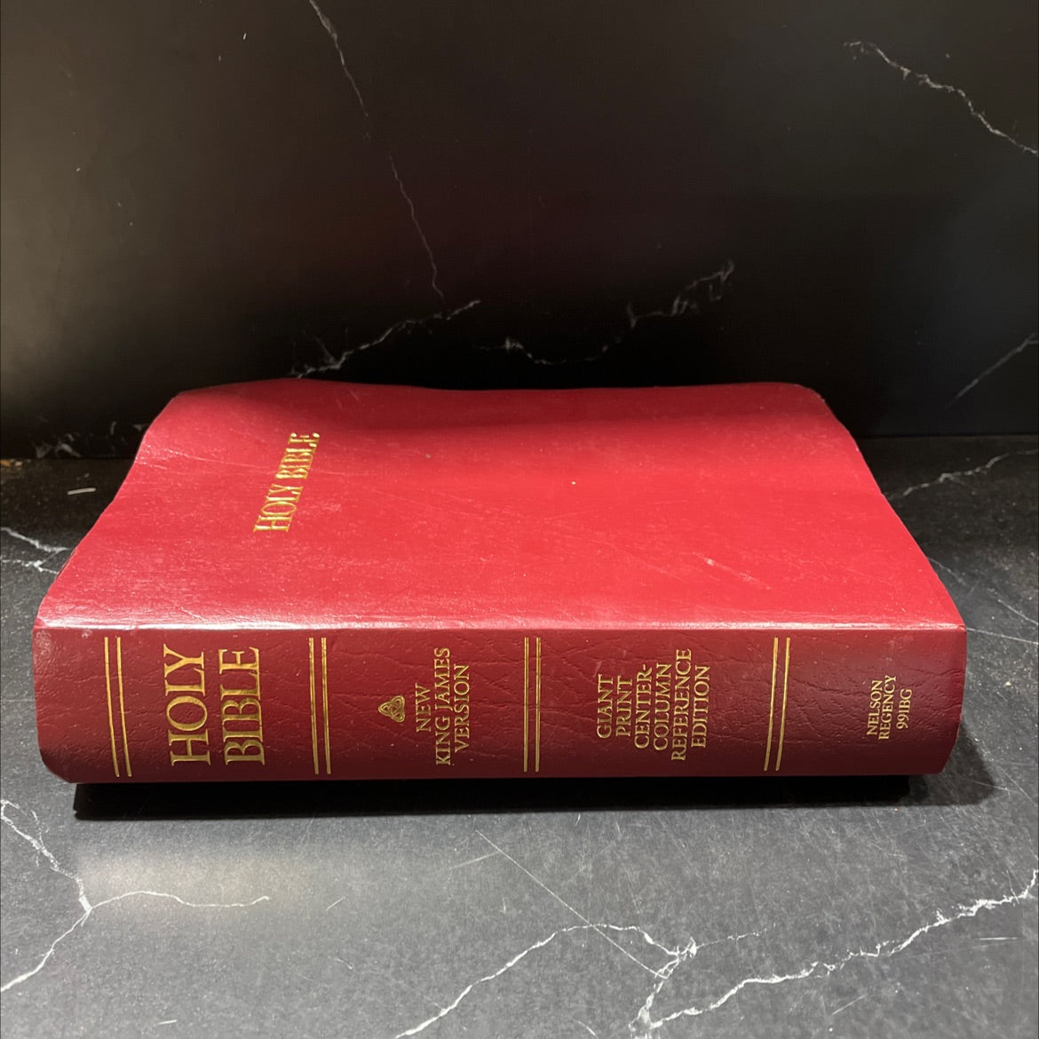 holy bible containing the old and new testaments book, by Thomas Nelson, 1994 Leather image 1