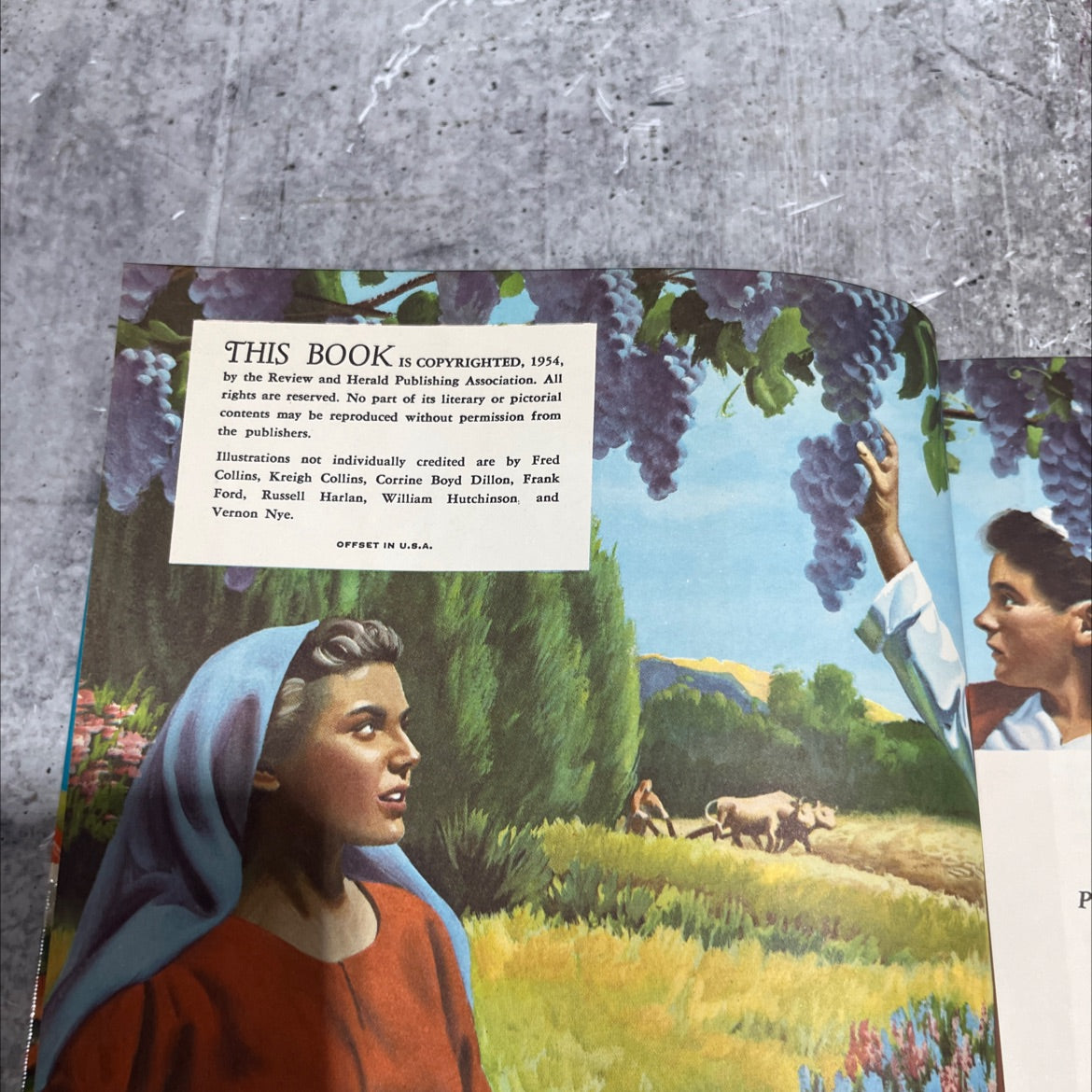 holy bible story more than four hundred stories in ten volumes covering the entire bible from genesis to revelation image 3