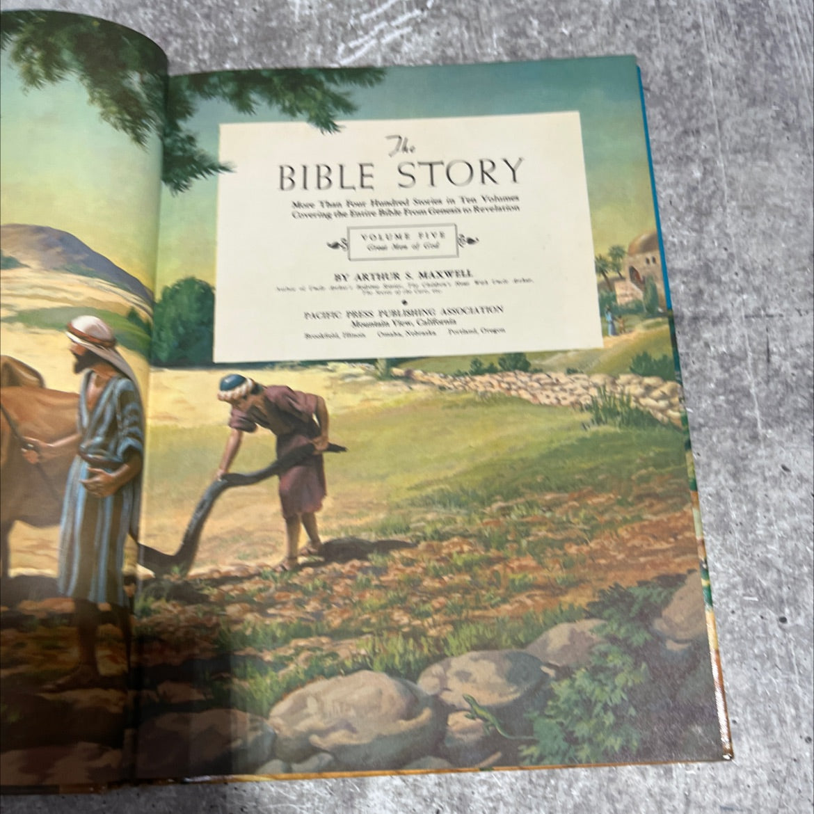 holy bible story more than rowe hundred stories in ten volumes covering the wire bible from genesis to revelation image 2