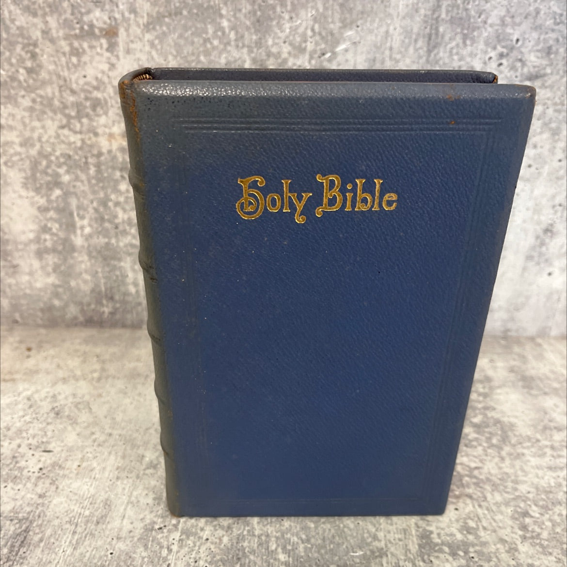holy bible the newberry bible book, by Unknown, Unknown Leather image 1