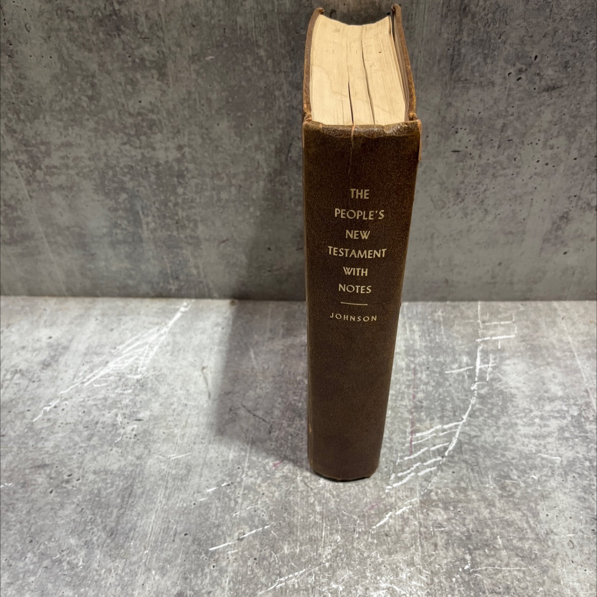 holy bible the people's new testament the common and revised versions with references and colored maps with explanatory image 4