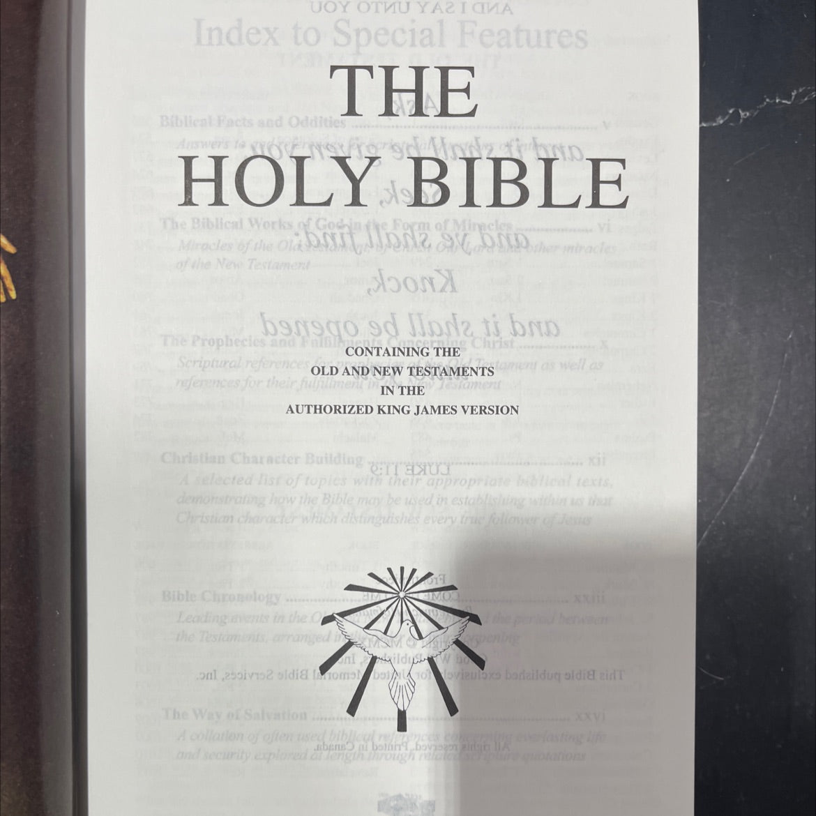 holy bible book, by unknown, 1991 Hardcover image 2