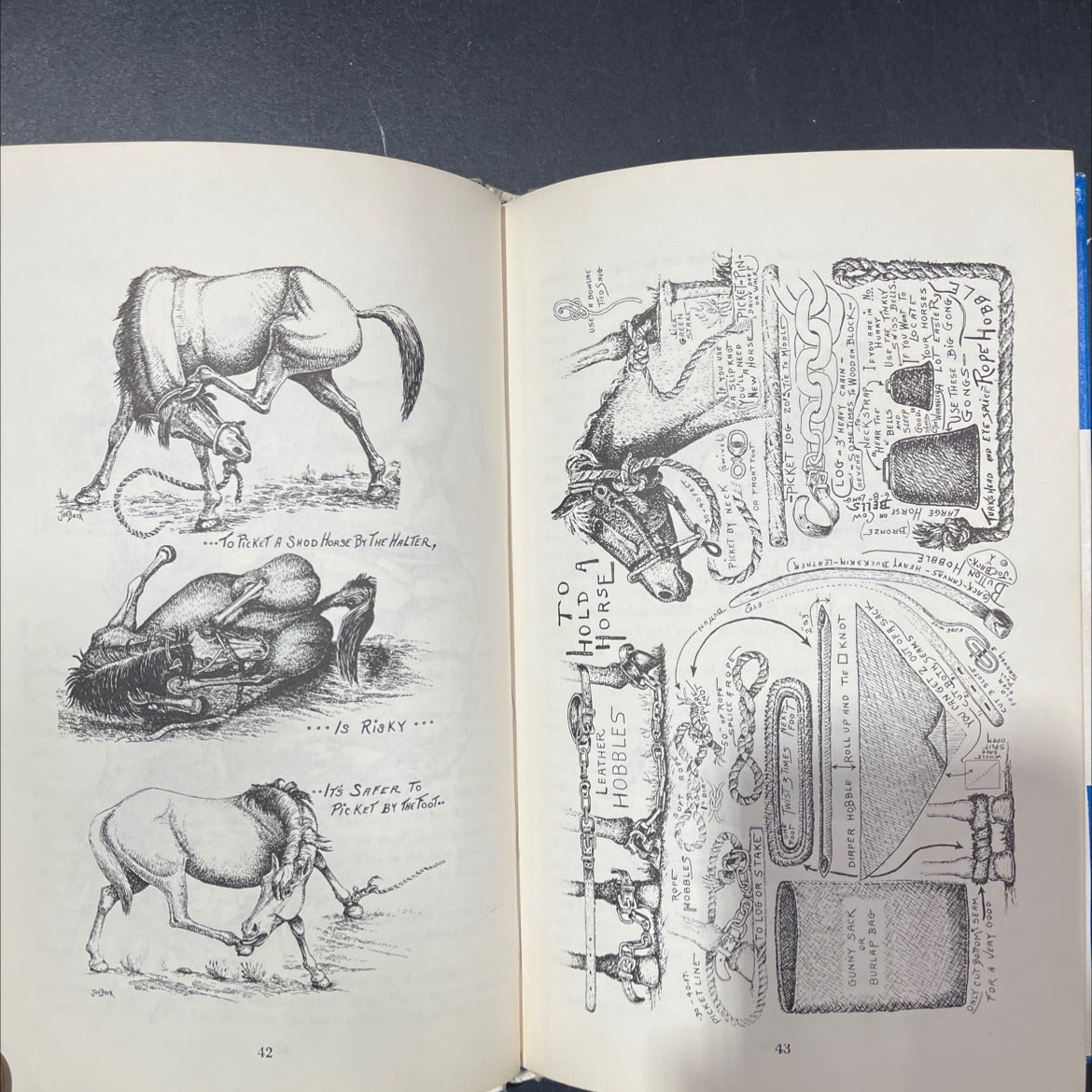 horses, hitches and rocky trails book, by joe back, 1985 Hardcover image 4