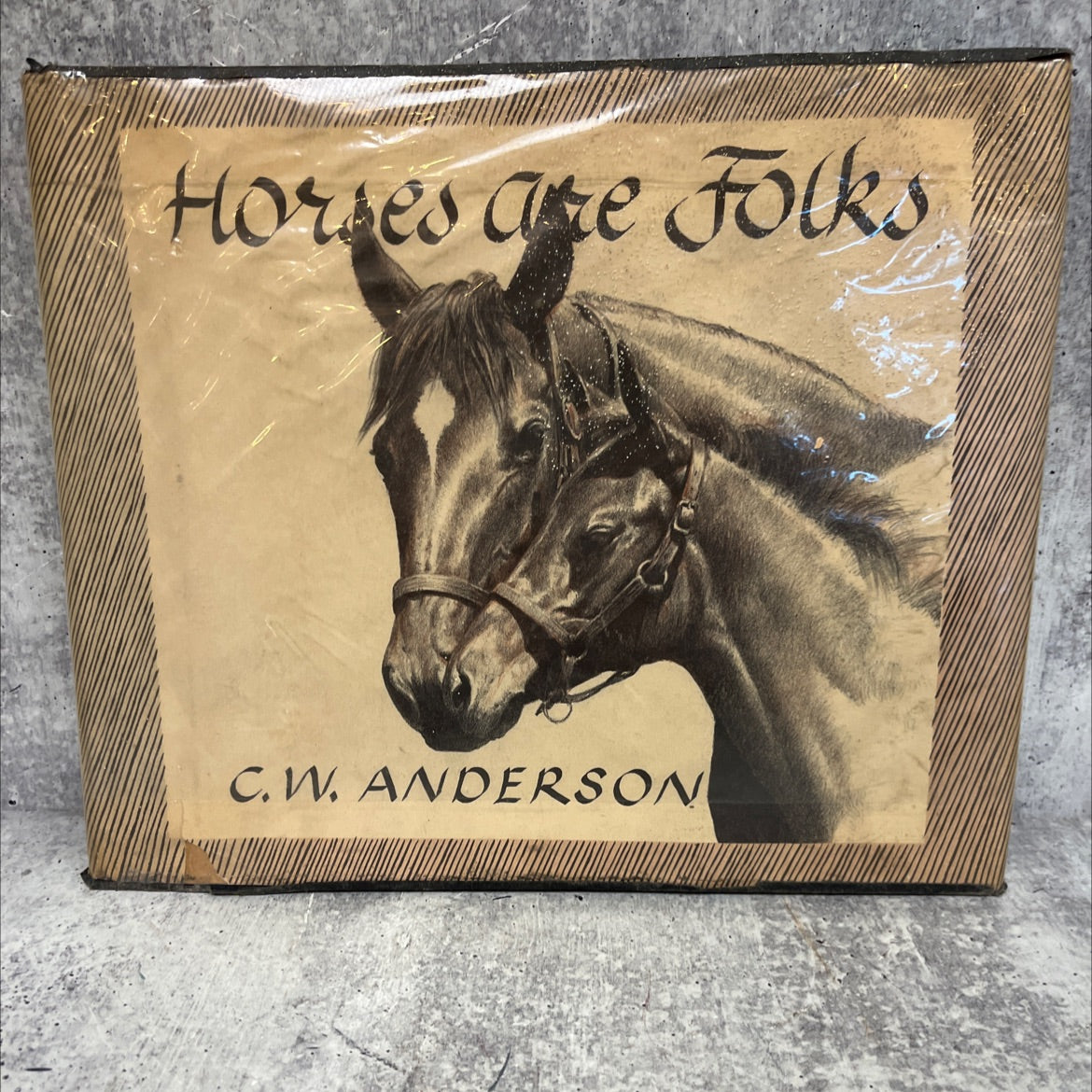 horses are folks book, by c. w. anderson, 1950 Hardcover, Vintage image 1