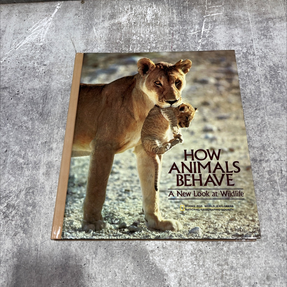 how animals behave book, by anthony bannister, 1984 Hardcover image 1