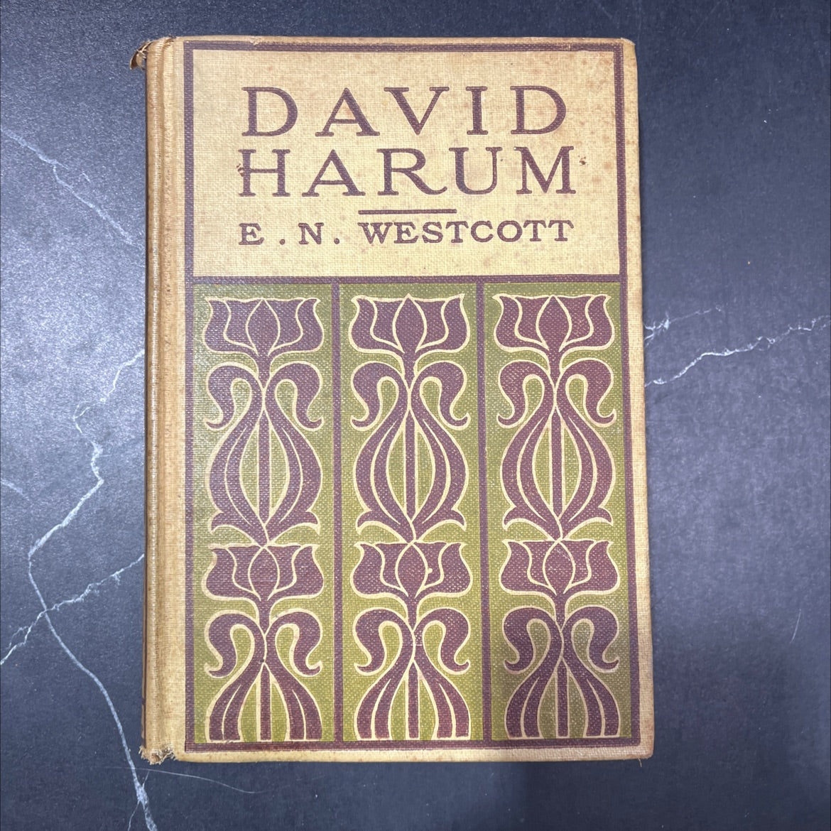 how that man can eat! book, by edward noyes westcott, 1898 Hardcover image 1