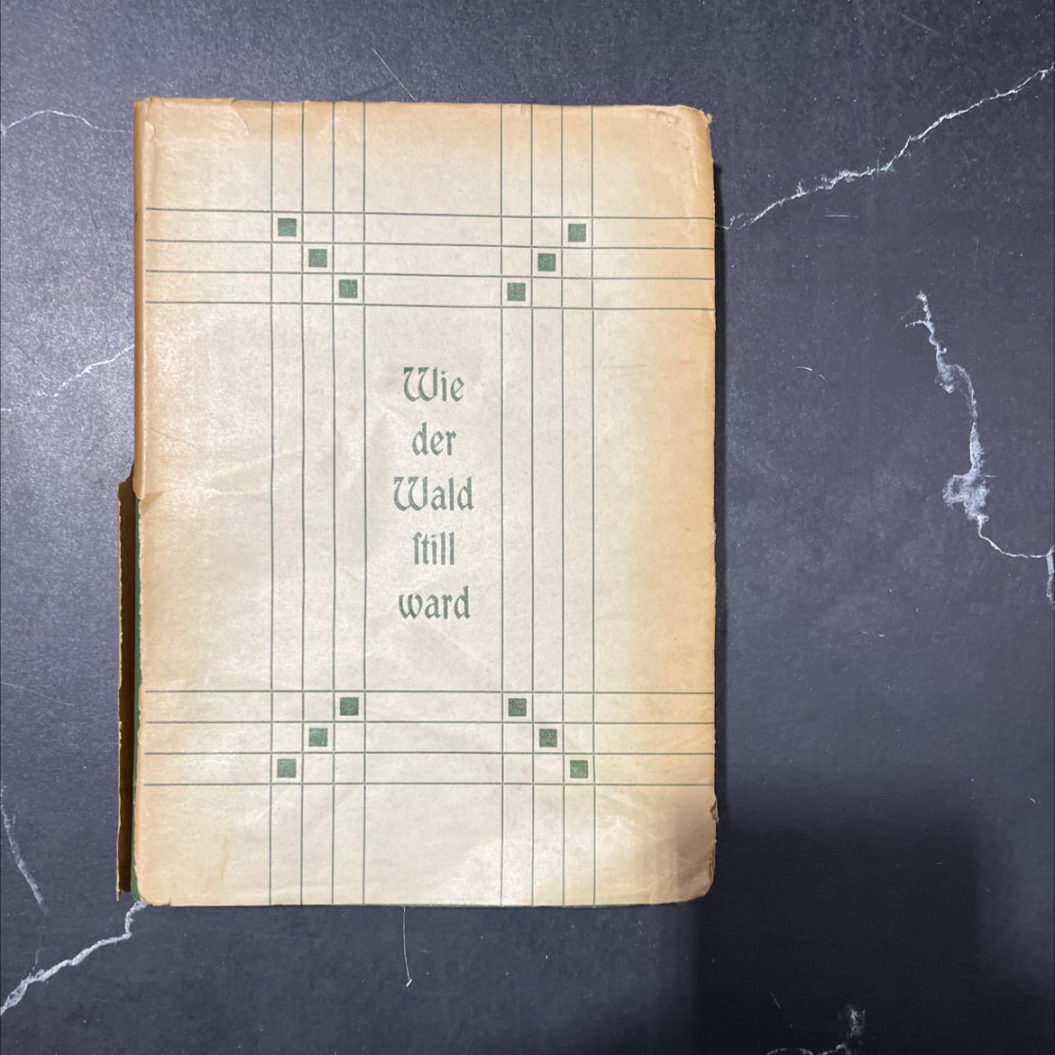 how the forest became silent book, by lisa wenger, 1907 Hardcover image 1