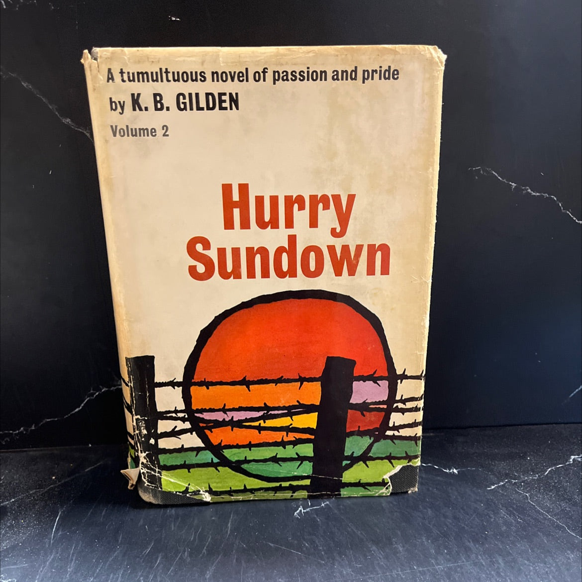 hurry sundown book, by k. b. gilden, 1964 Hardcover image 1