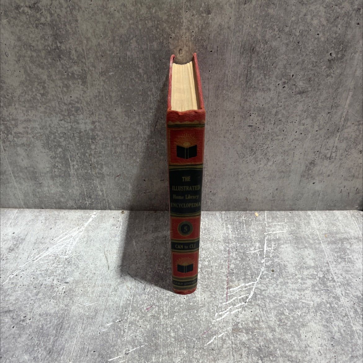 illustrated home library encyclopedia guild edition volume 5 volume can-cli book, by national lexicographic board, 1956 image 4