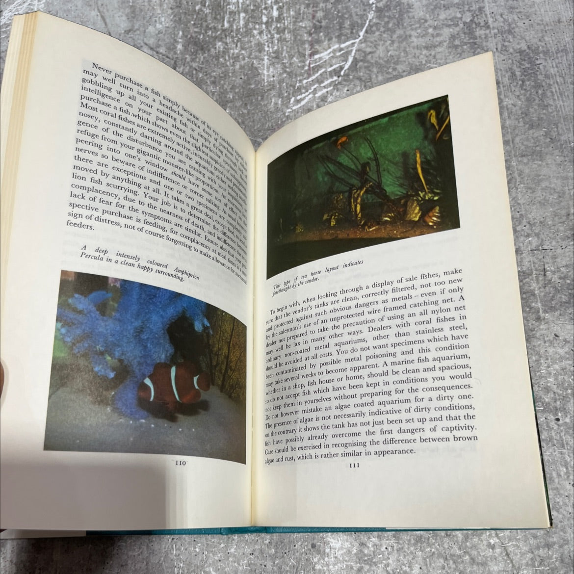 inser coral fishes their care and maintenance book, by t. ravensdale, 1968 Hardcover image 4